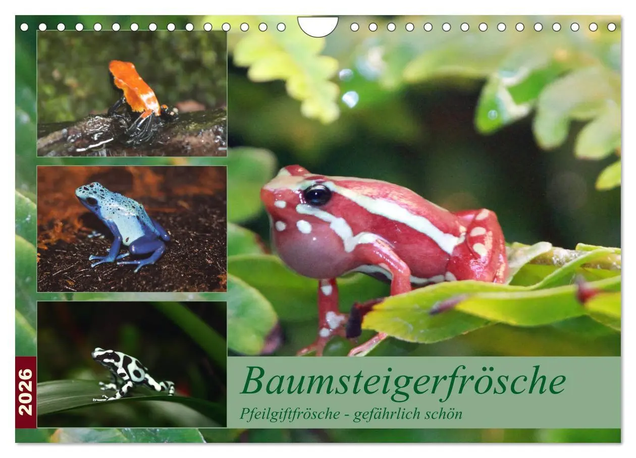 Cover: 9783516183931 | Baumsteigerfrösche. Pfeilgiftfrösche - gefährlich schön...