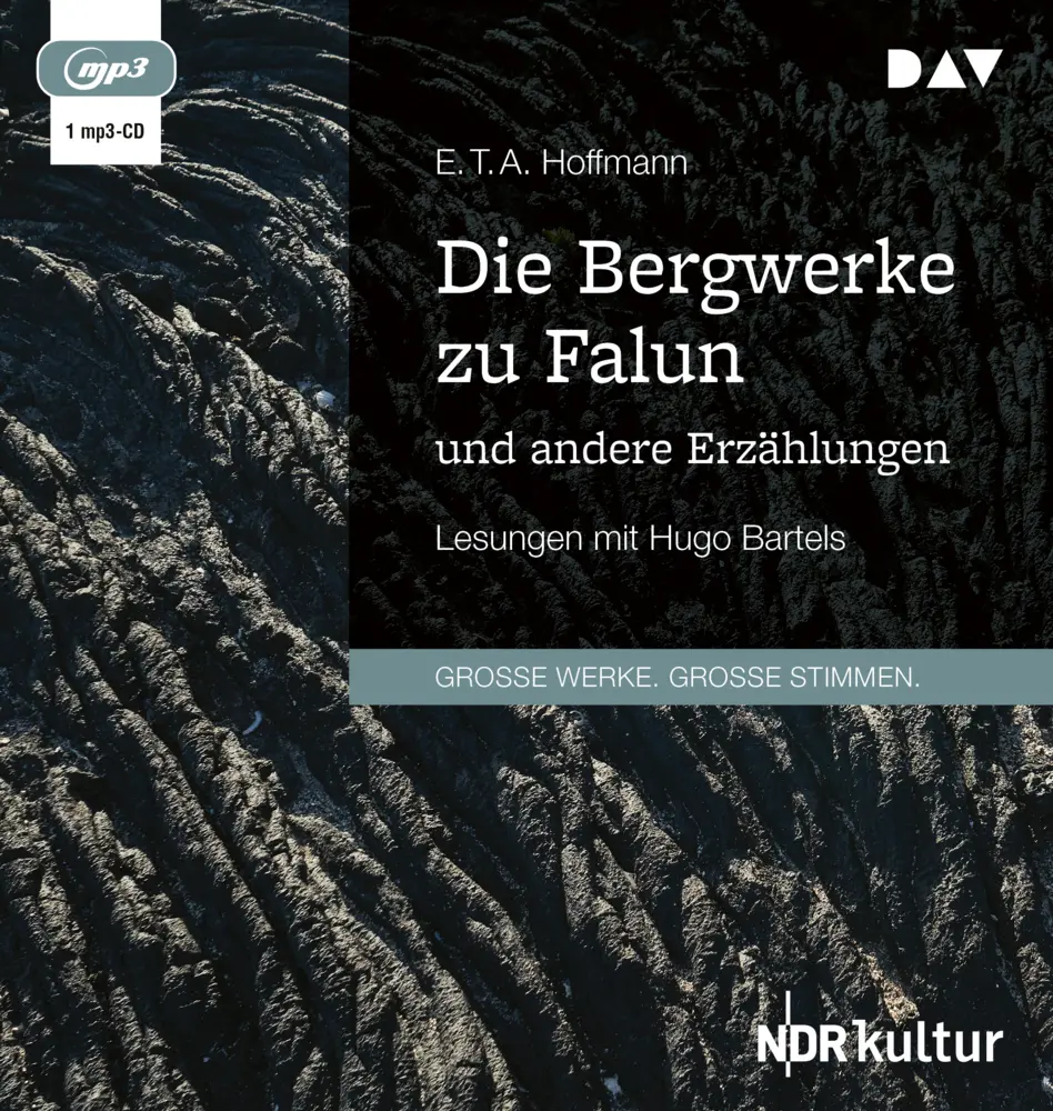 Die Bergwerke zu Falun und andere Erzählungen,1 Audio-CD, 1 MP3