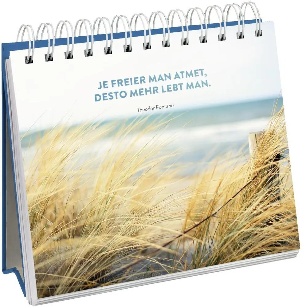Bild: 9783848523931 | Träum mal wieder vom Meer | Aufstellbuch | Groh Verlag | Taschenbuch