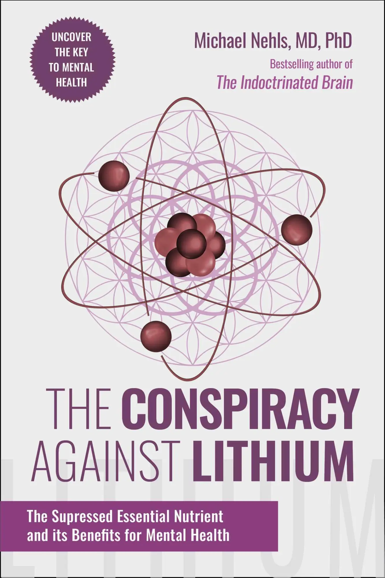 Cover: 9781510784031 | The Conspiracy Against Lithium | Michael Nehls | Buch | Englisch