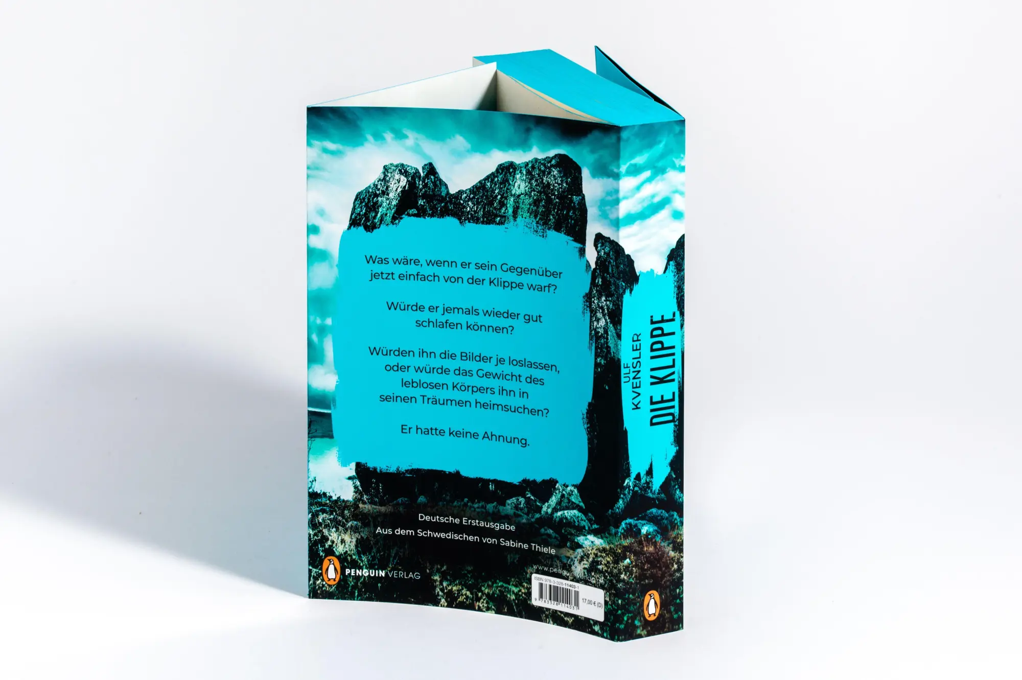 Bild: 9783328114031 | Die Klippe - Jede Lüge könnte deine letzte sein | Ulf Kvensler | Buch