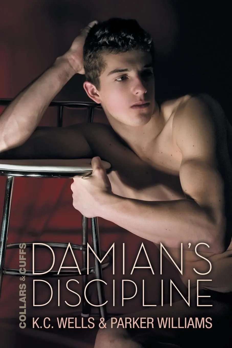 Cover: 9781632164131 | Damian's Discipline | K. C. Wells (u. a.) | Taschenbuch | Englisch