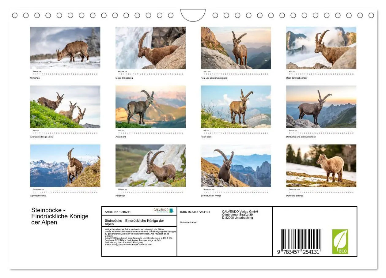 Bild: 9783457284131 | Steinböcke - Eindrückliche Könige der Alpen (Wandkalender 2026 DIN...