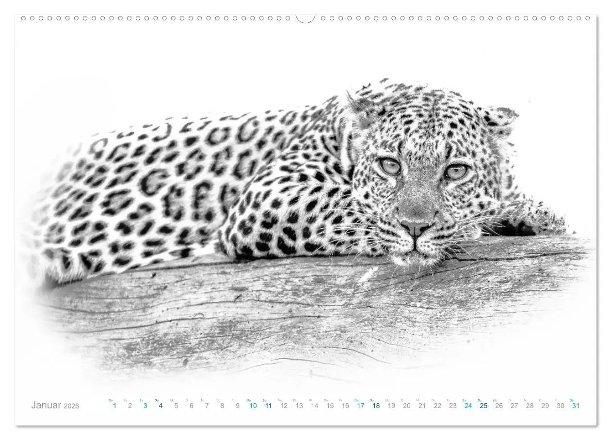 Bild: 9783457804131 | AFRIKA - Schwarz-weiss Fotografien im modernen "High Key" Look...