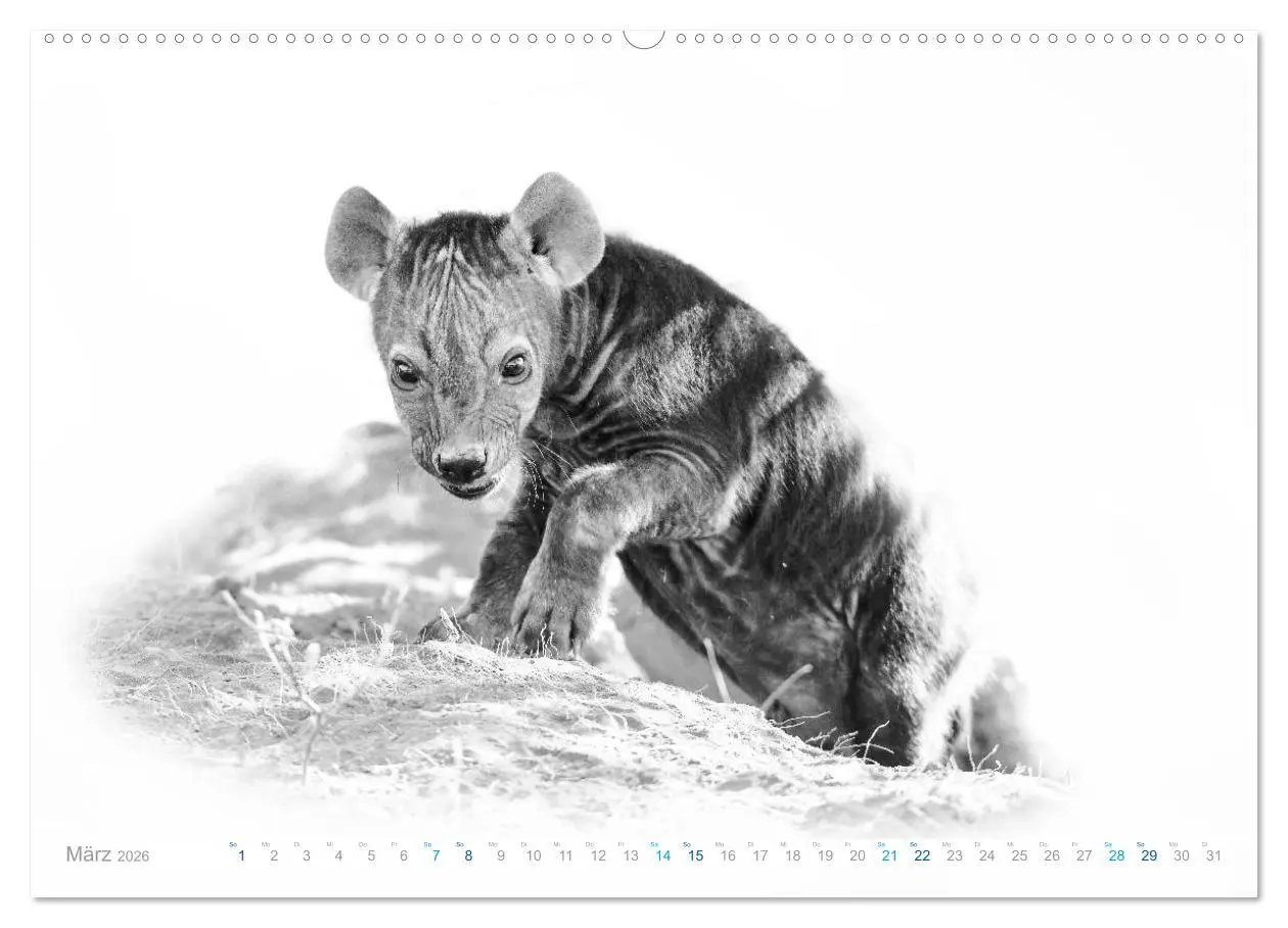 Bild: 9783457804131 | AFRIKA - Schwarz-weiss Fotografien im modernen "High Key" Look...
