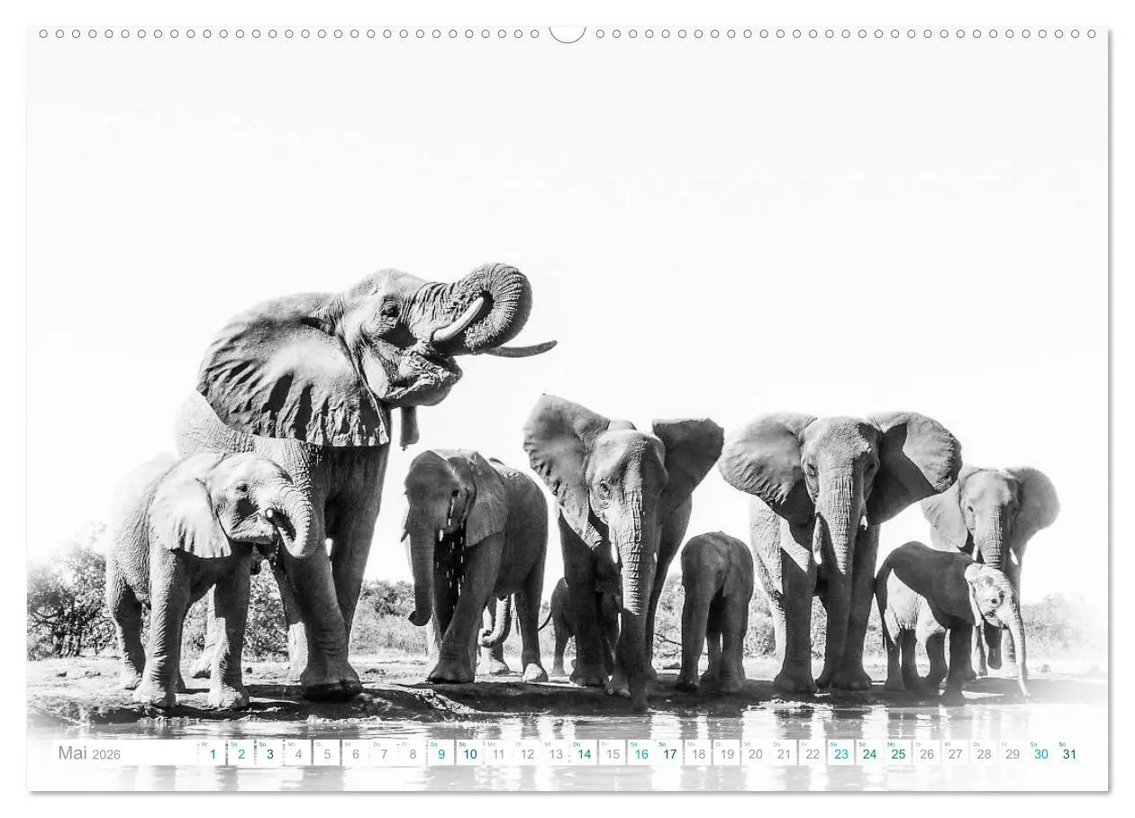 Bild: 9783457804131 | AFRIKA - Schwarz-weiss Fotografien im modernen "High Key" Look...