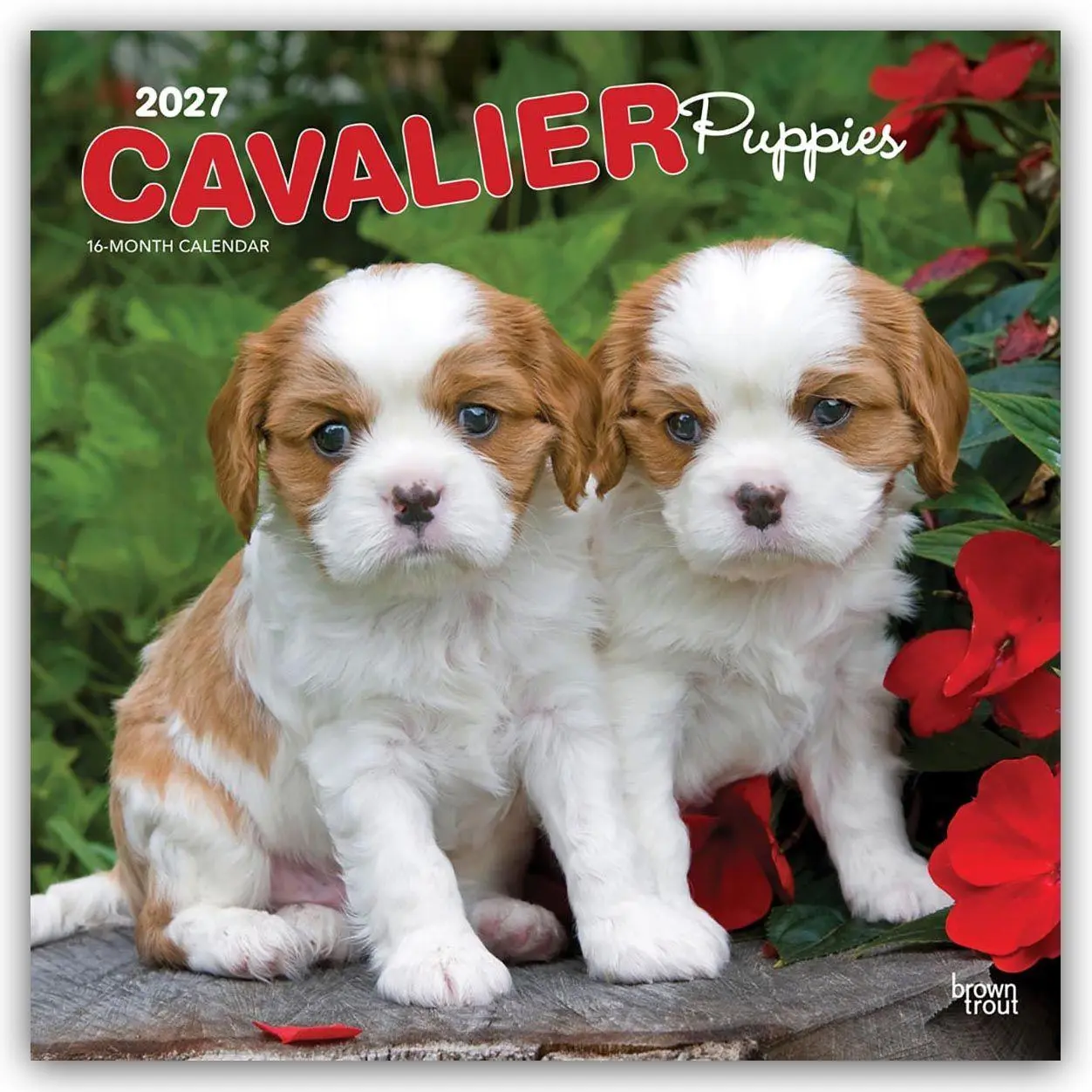 Cover: 9798330714131 | Cavalier King Charles Spaniel Puppies - Cavalier King Charles...