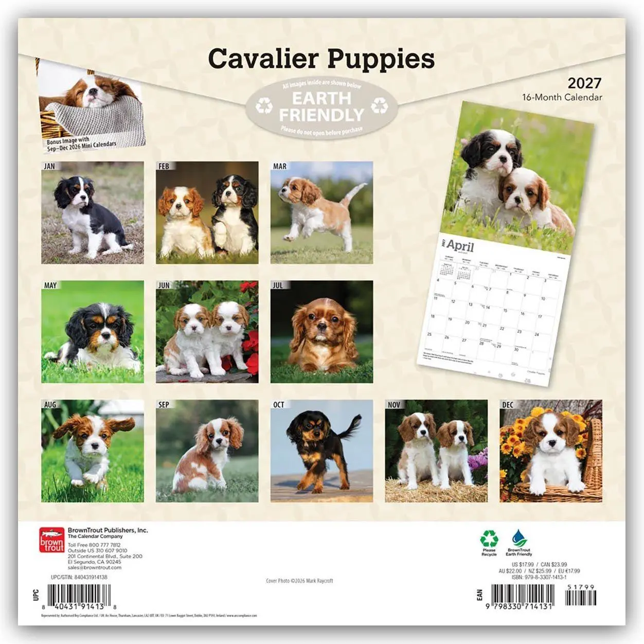 Rückseite: 9798330714131 | Cavalier King Charles Spaniel Puppies - Cavalier King Charles...