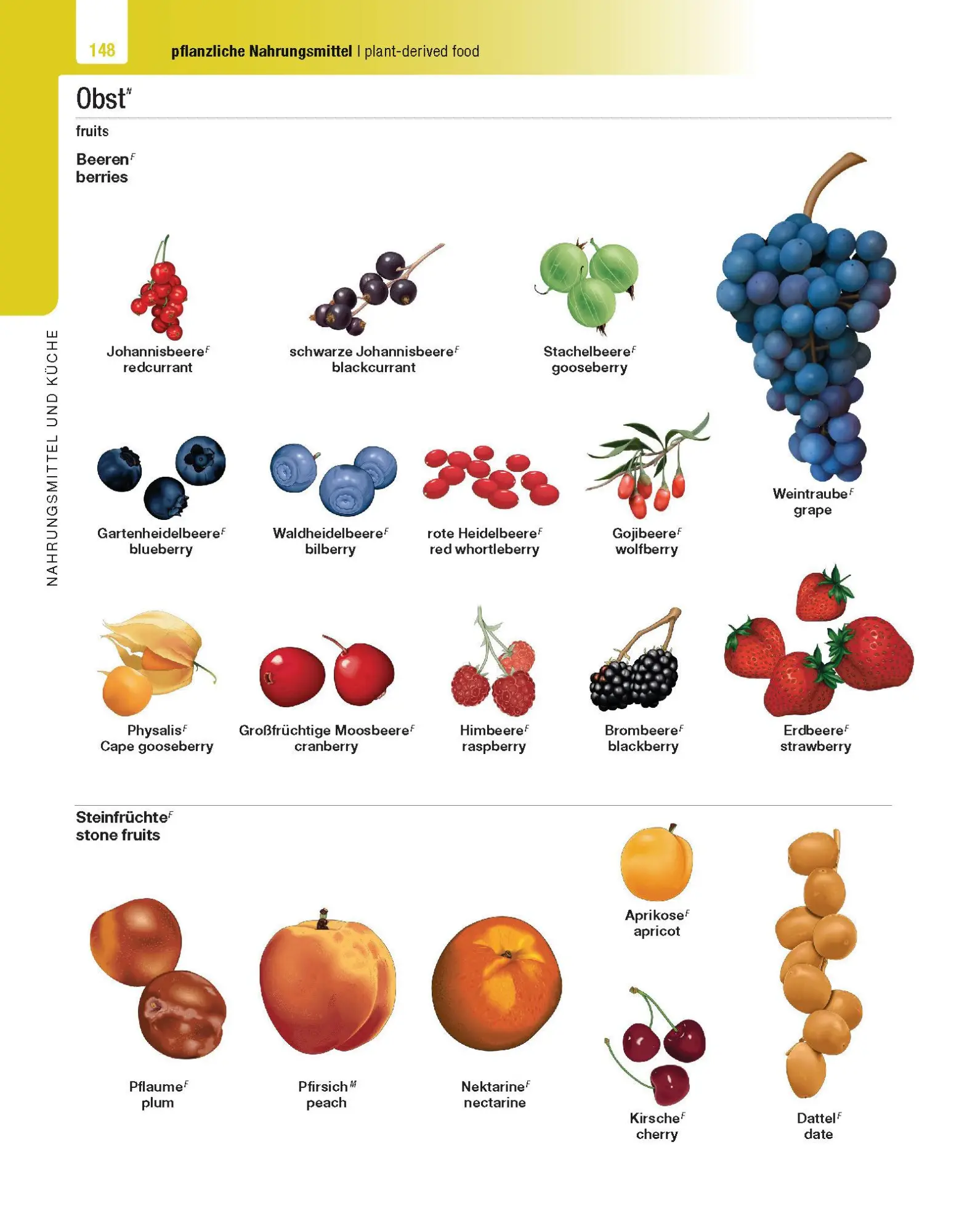Bild: 9783125144231 | Langenscheidt Illustriertes Wörterbuch Englisch | Buch | 624 S. | 2021