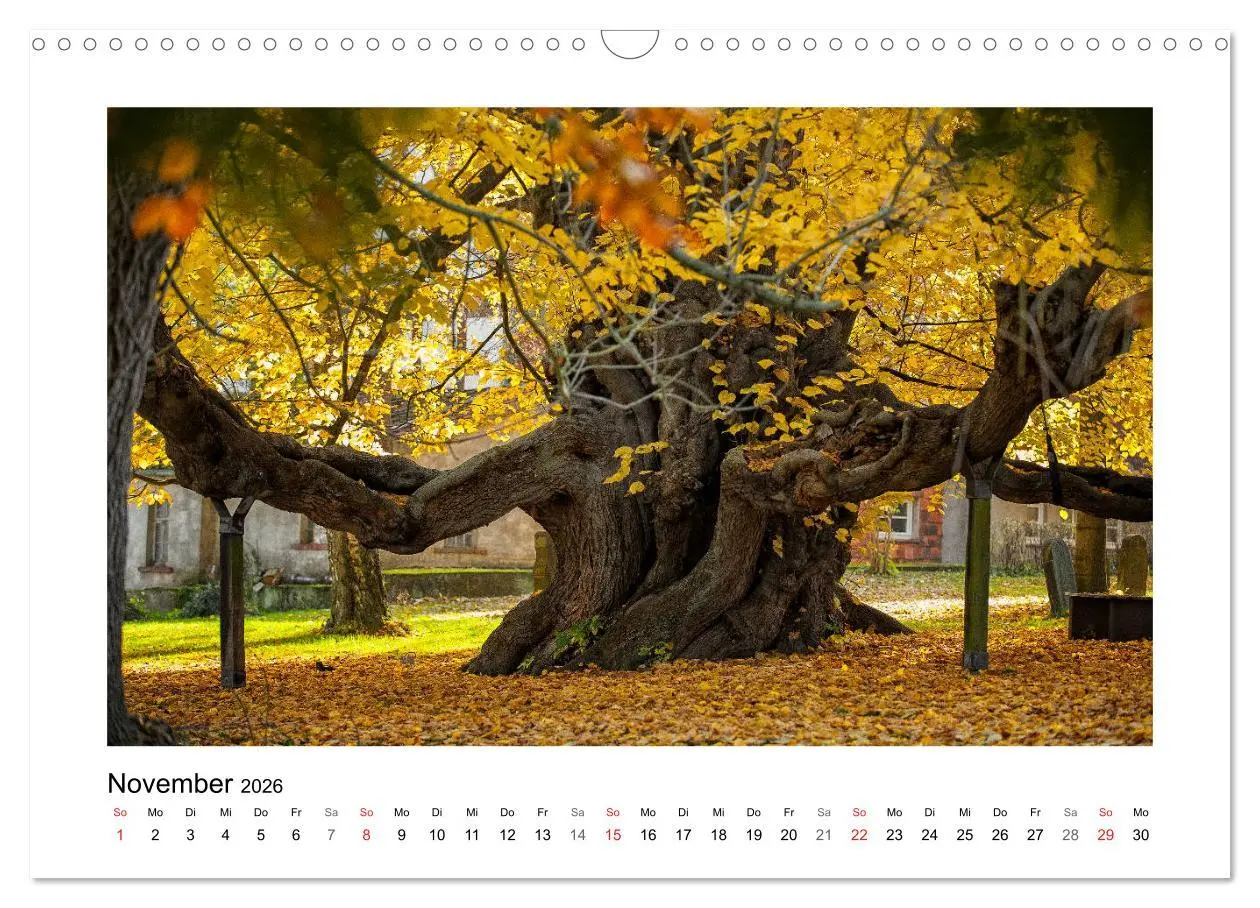 Bild: 9783457724231 | Impressionen aus Ostwestfalen-Lippe (Wandkalender 2026 DIN A3...