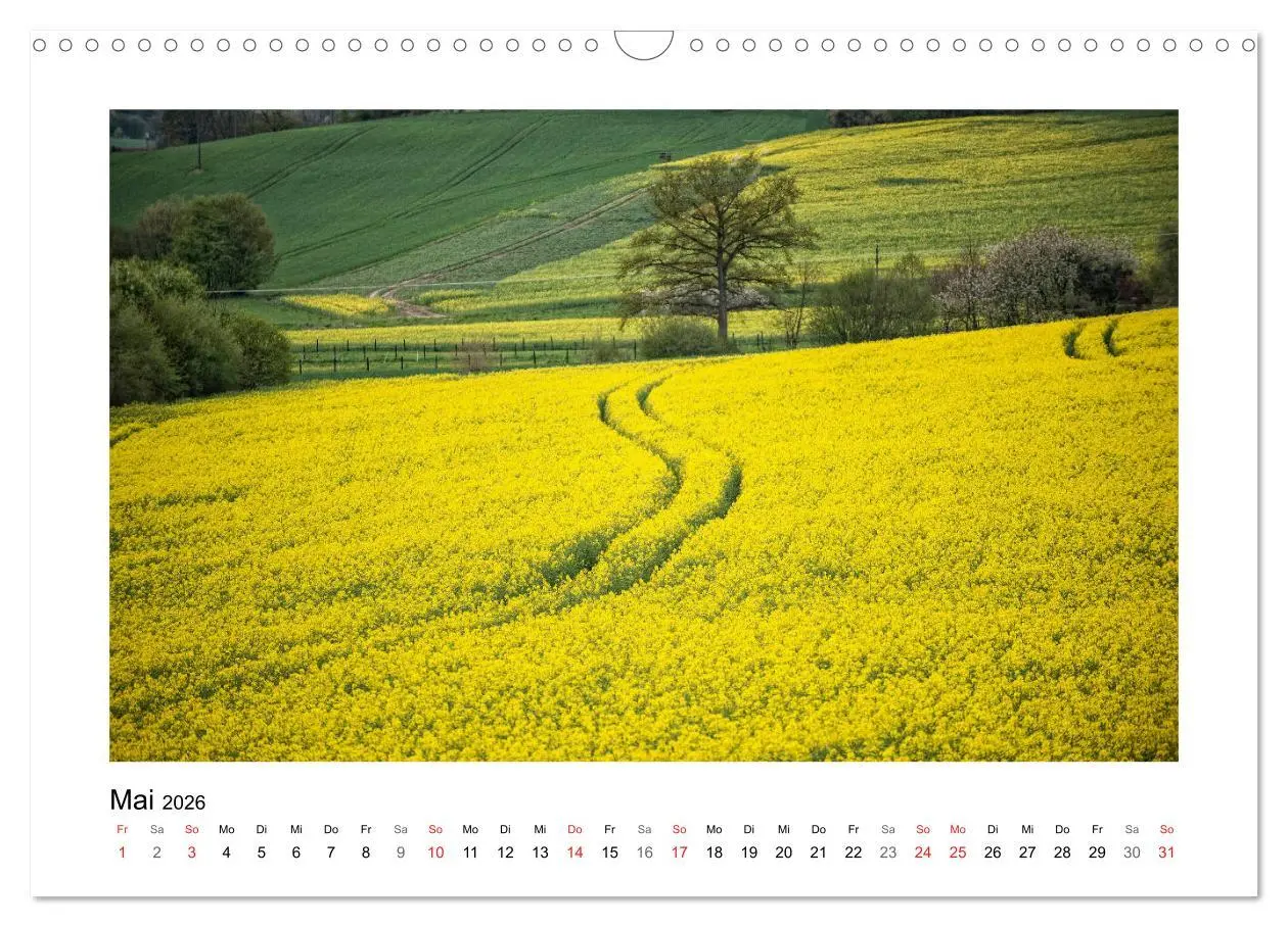 Bild: 9783457724231 | Impressionen aus Ostwestfalen-Lippe (Wandkalender 2026 DIN A3...