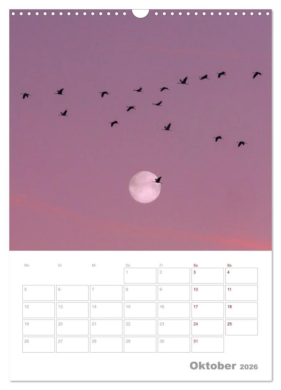 Bild: 9783516364231 | VOLLMOND-Planer - Im Licht der Nacht (Wandkalender 2026 DIN A3...