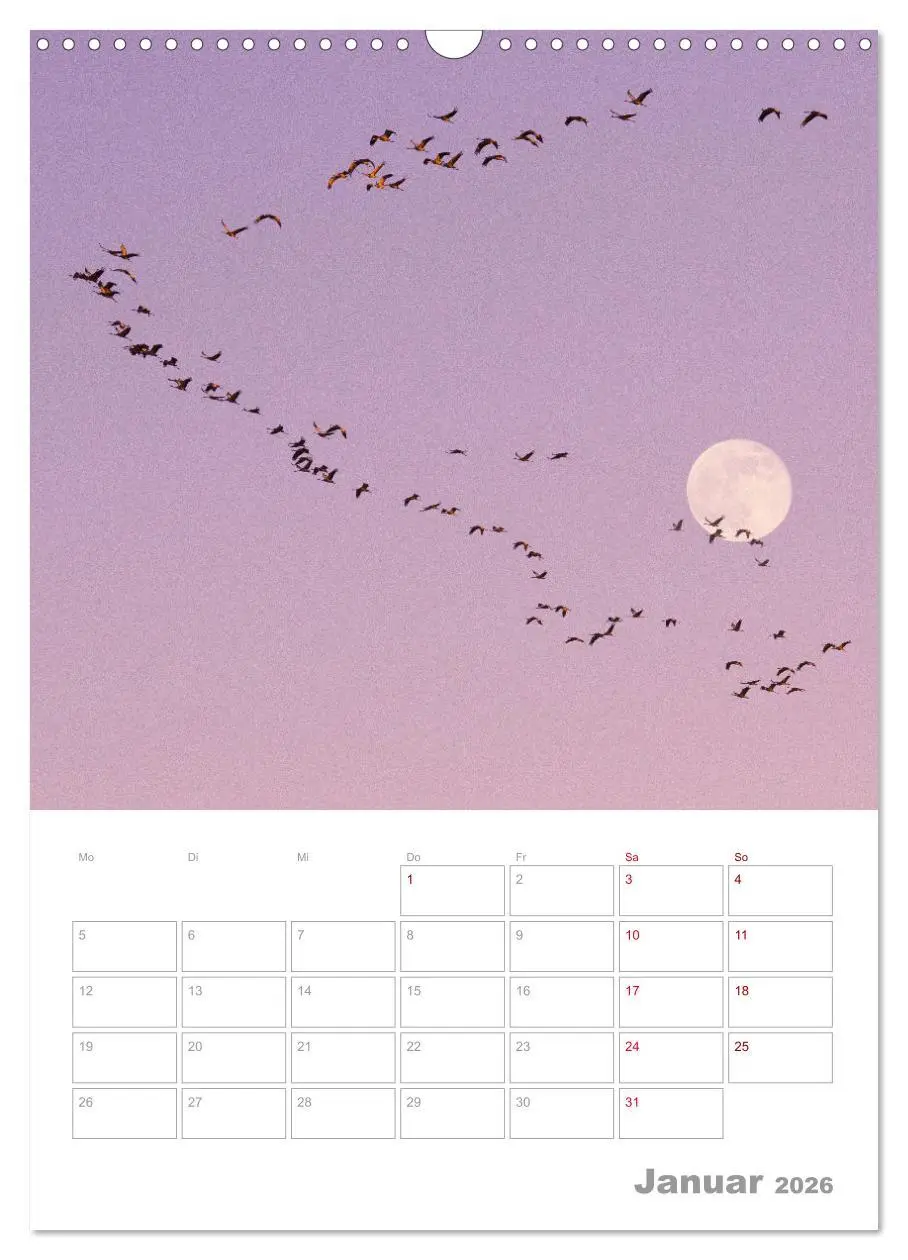 Bild: 9783516364231 | VOLLMOND-Planer - Im Licht der Nacht (Wandkalender 2026 DIN A3...