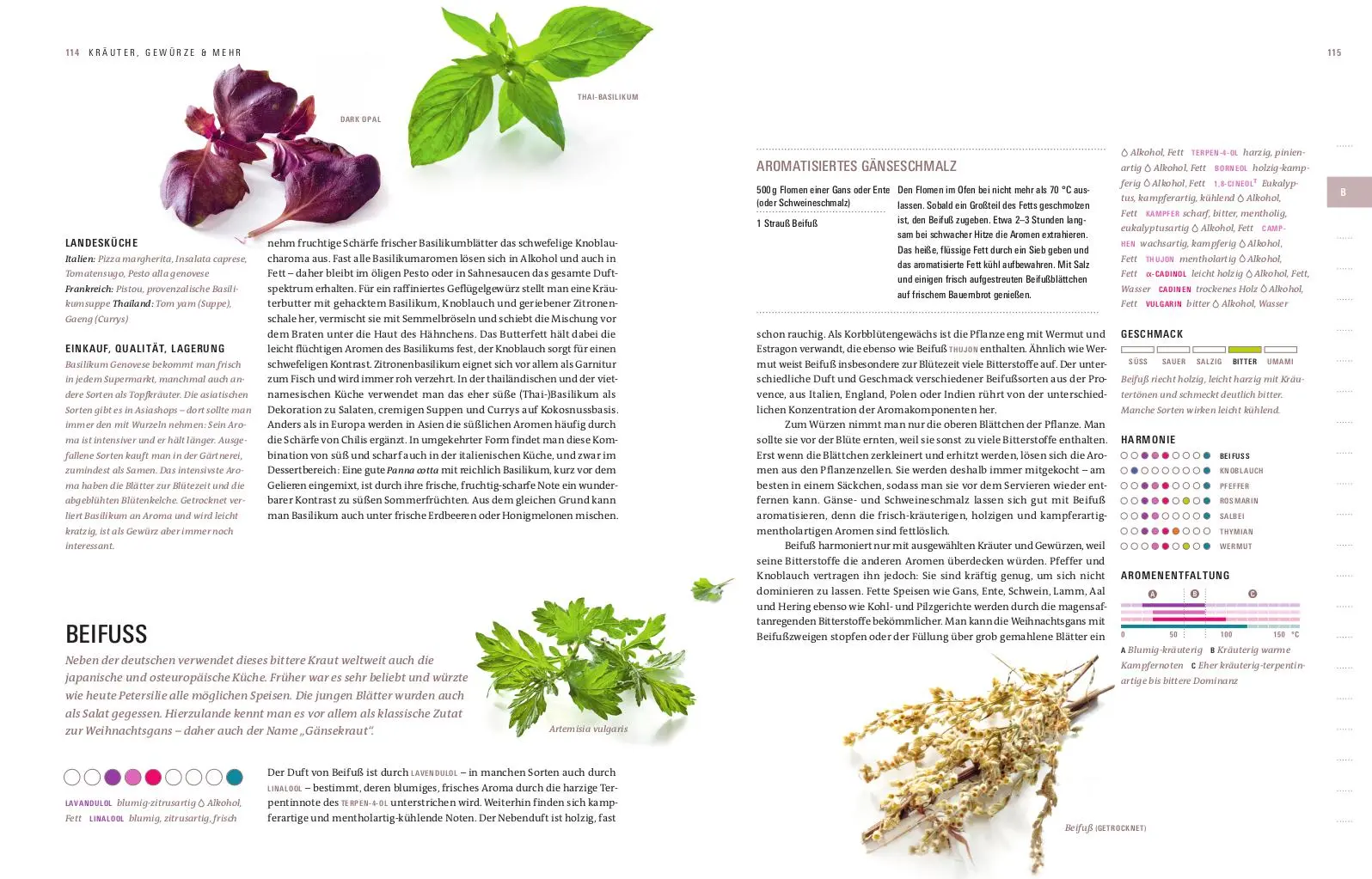 Bild: 9783747104231 | Aroma | Die Kunst des Würzens | Thomas Vilgis (u. a.) | Buch | 520 S.