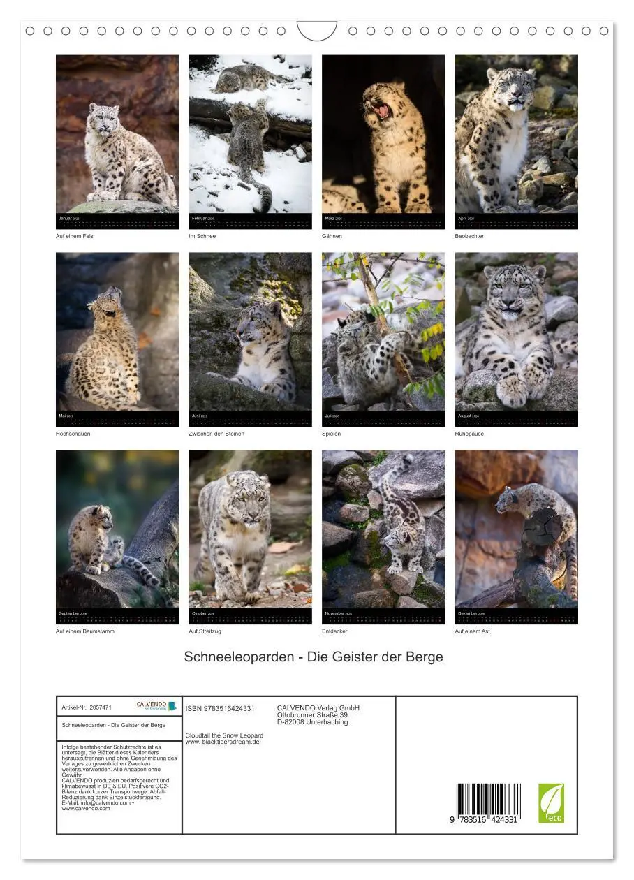 Bild: 9783516424331 | Schneeleoparden - Die Geister der Berge (Wandkalender 2026 DIN A3...