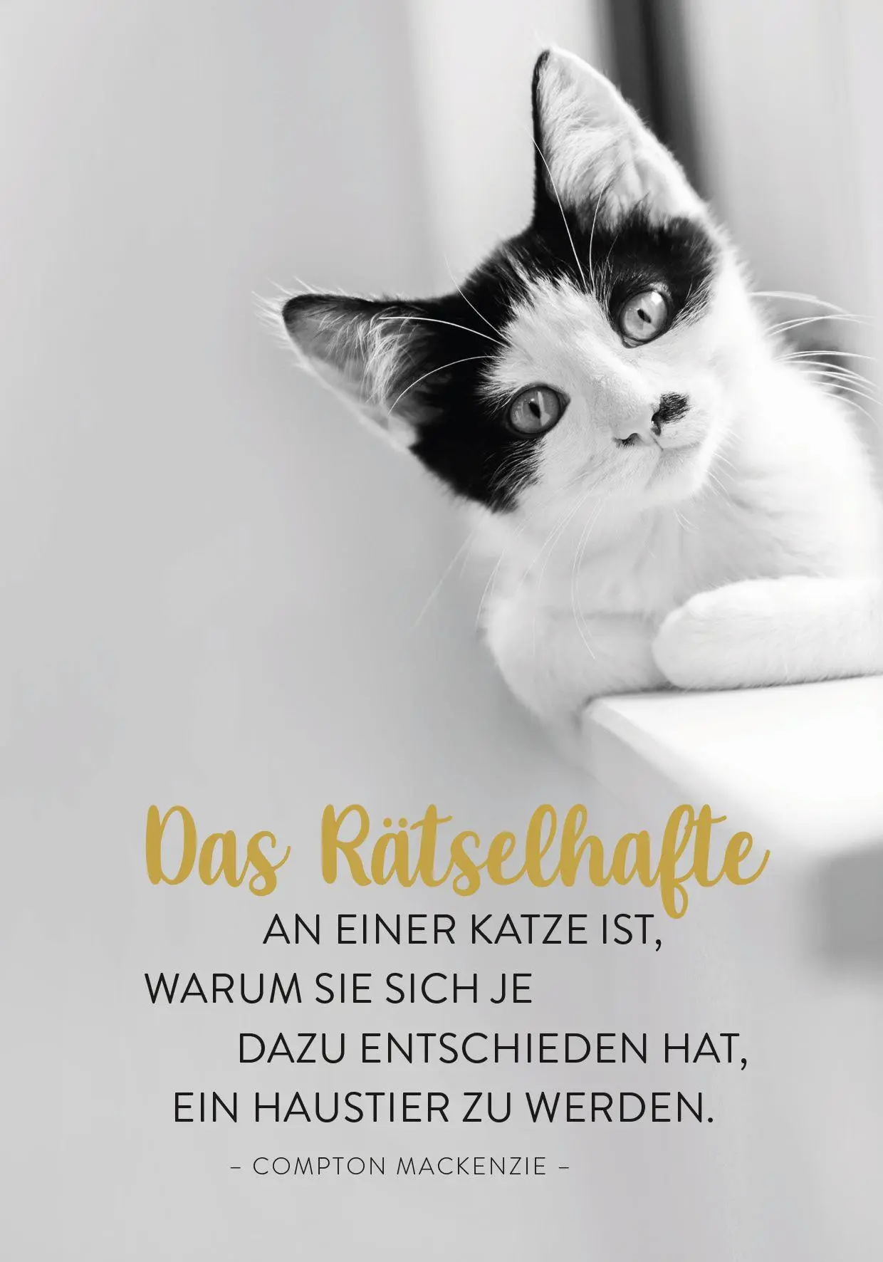 Bild: 4036442014431 | Buchkalender 2027: Für Katzenfreunde | Groh Verlag | Kalender | 144 S.