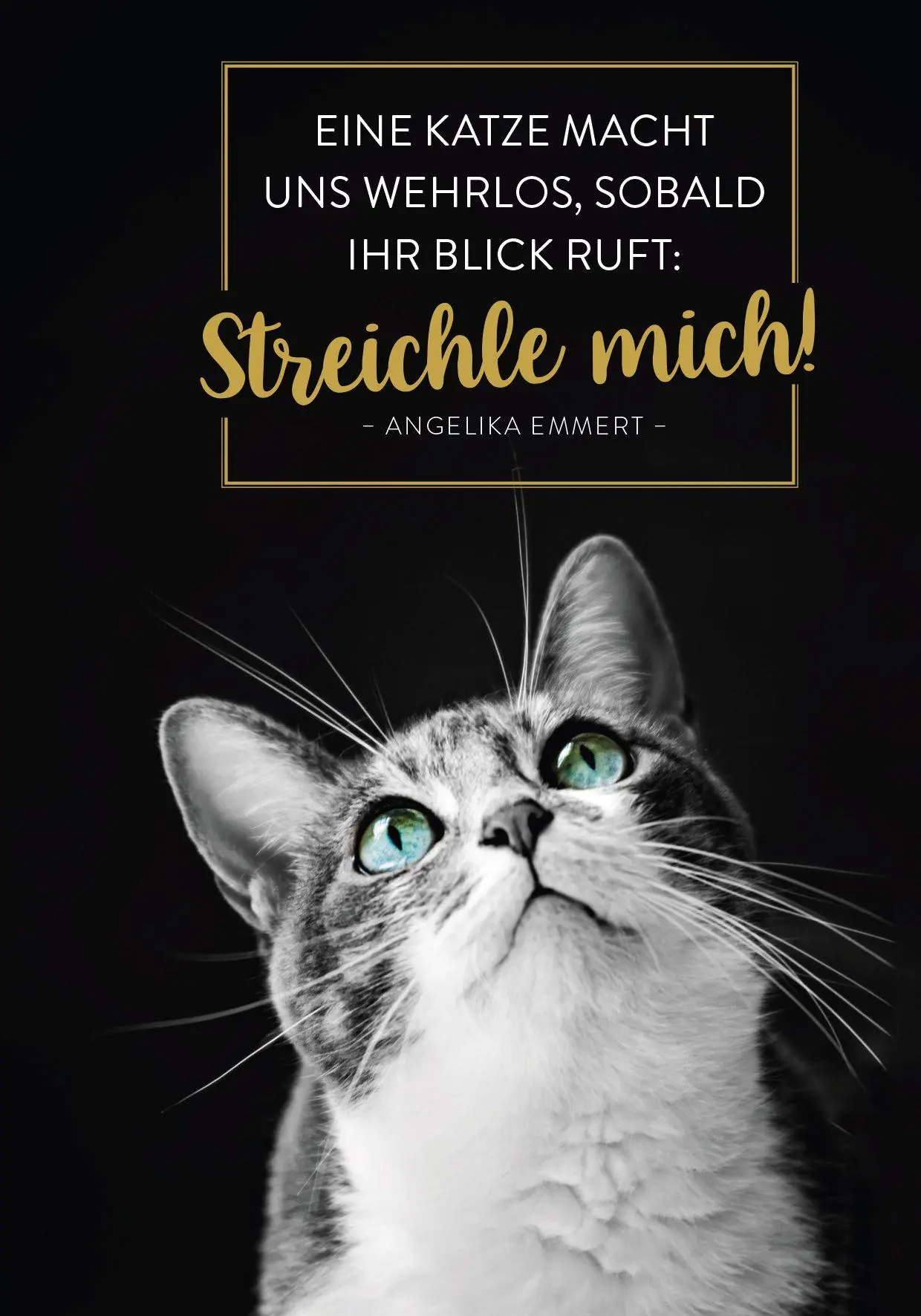 Bild: 4036442014431 | Buchkalender 2027: Für Katzenfreunde | Groh Verlag | Kalender | 144 S.