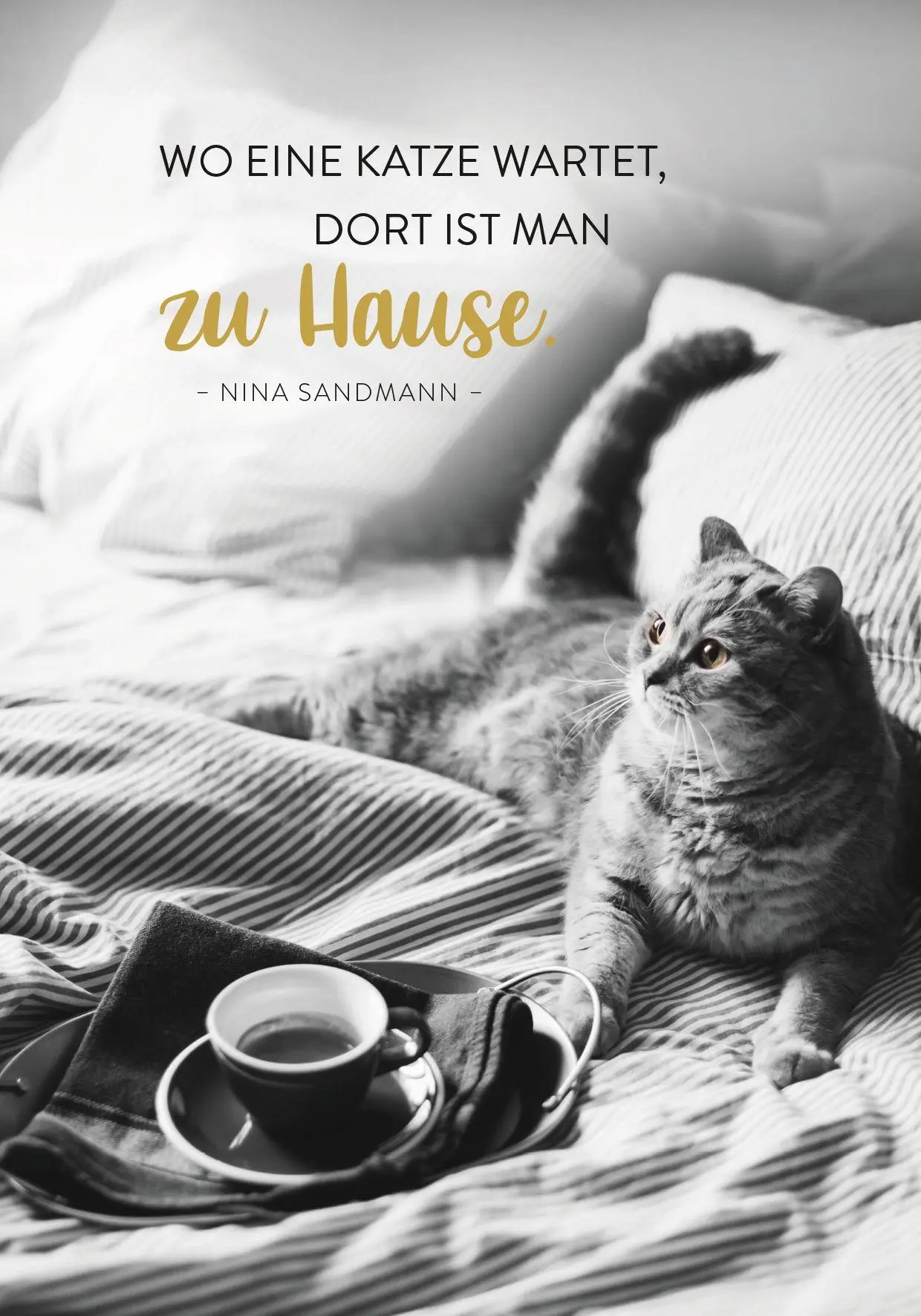 Bild: 4036442014431 | Buchkalender 2027: Für Katzenfreunde | Groh Verlag | Kalender | 144 S.