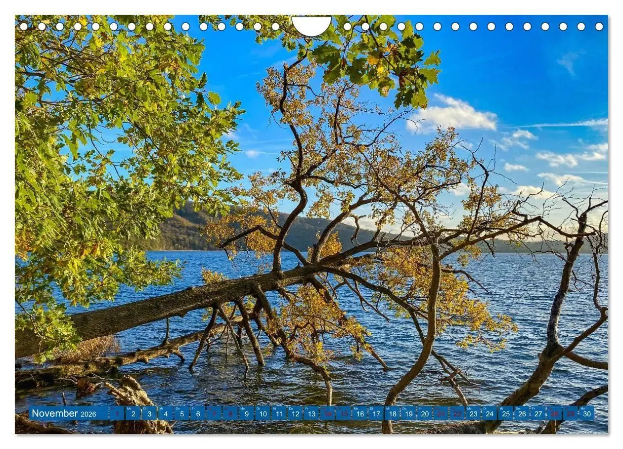 Bild: 9783516724431 | Herzlich Mayen und Umland (Wandkalender 2026 DIN A4 quer), CALVENDO...