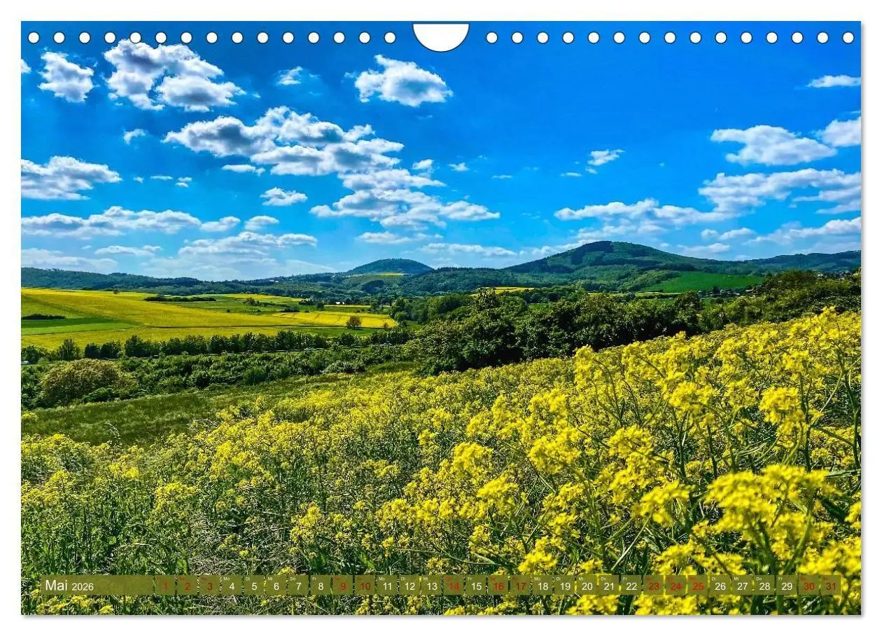Bild: 9783516724431 | Herzlich Mayen und Umland (Wandkalender 2026 DIN A4 quer), CALVENDO...