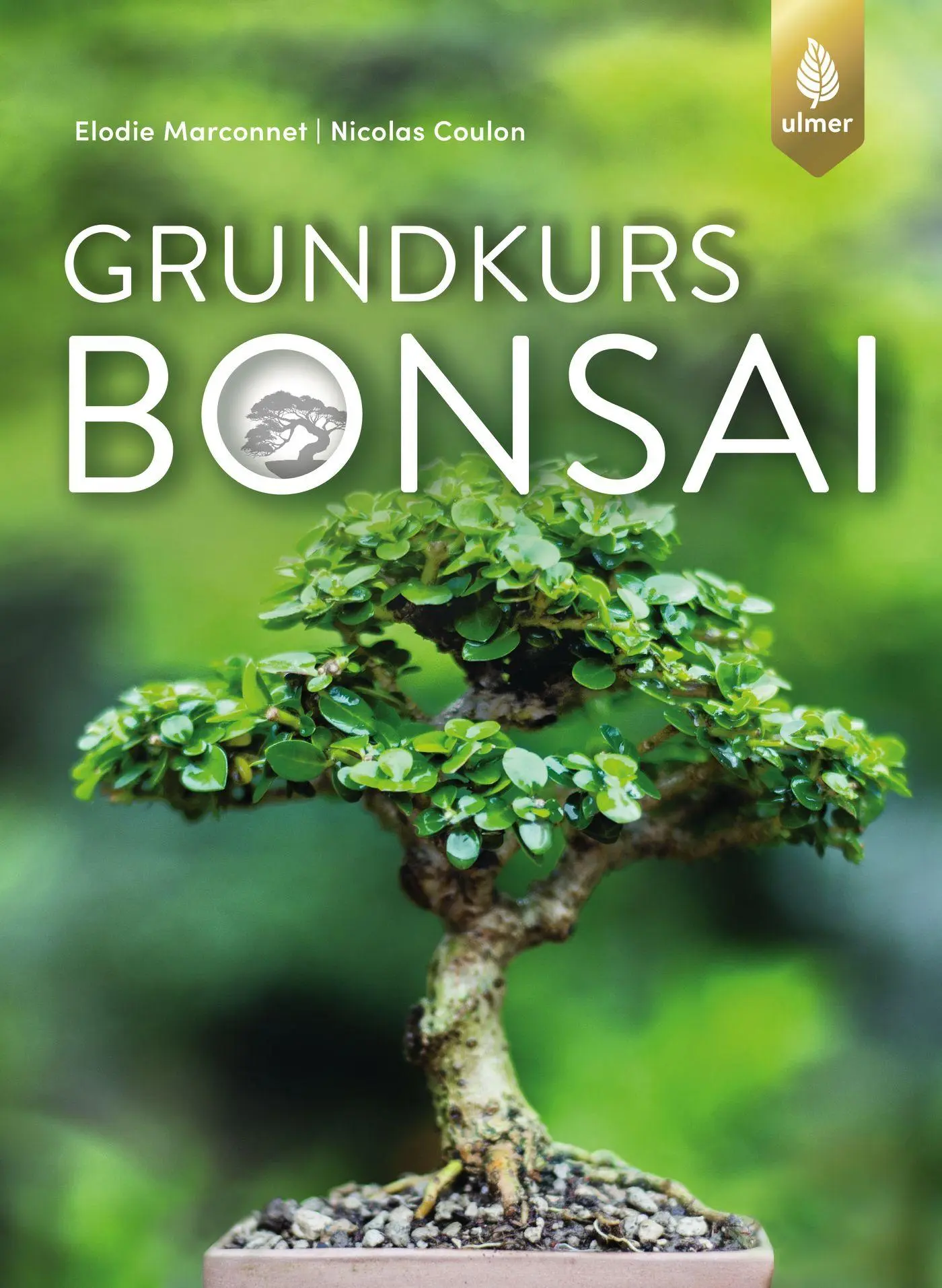 Cover: 9783818604431 | Grundkurs Bonsai | Elodie Marconnet (u. a.) | Taschenbuch | 120 S.