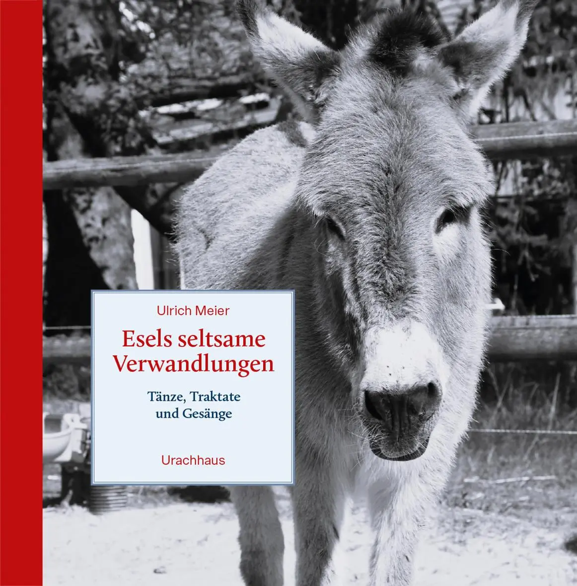 Cover: 9783825154431 | Esels seltsame Verwandlungen | Tänze, Traktate und Gesänge | Meier