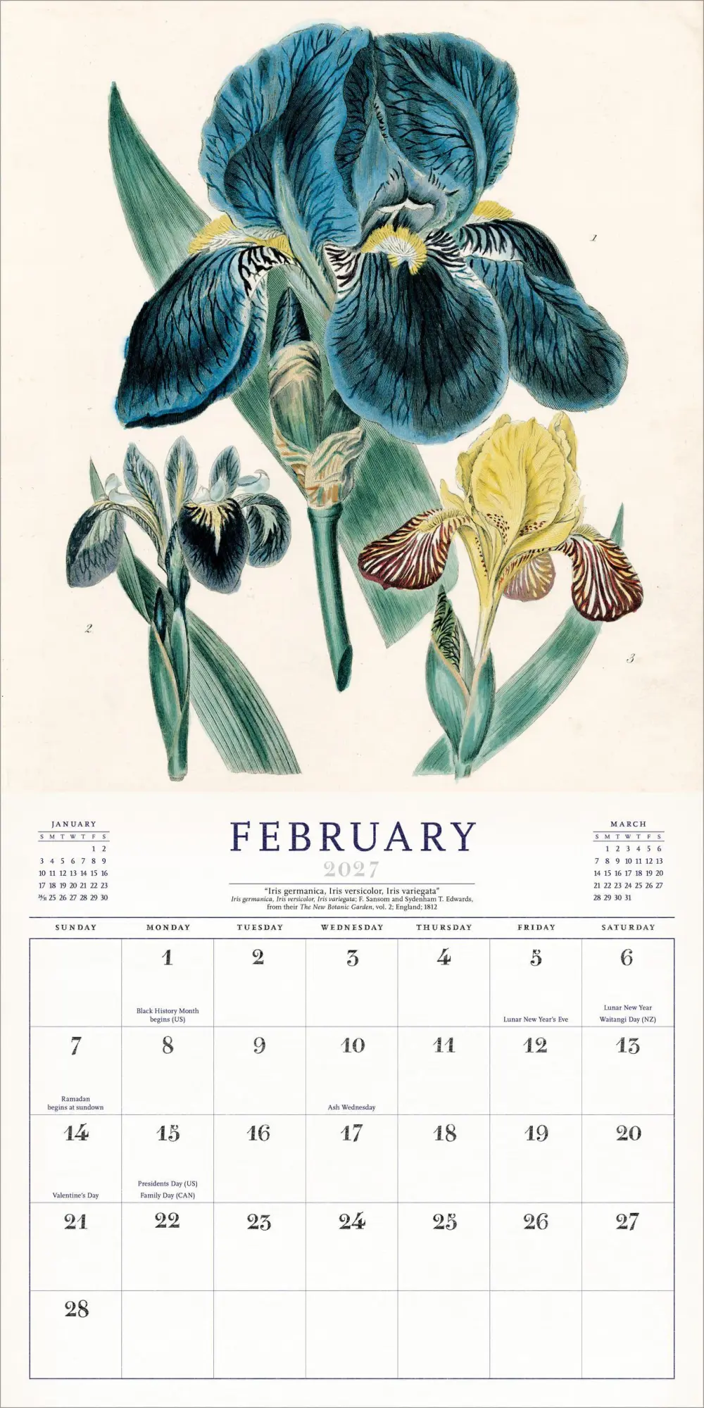 Bild: 9781523534531 | The World of John Derian Wall Calendar 2027 | John Derian (u. a.)