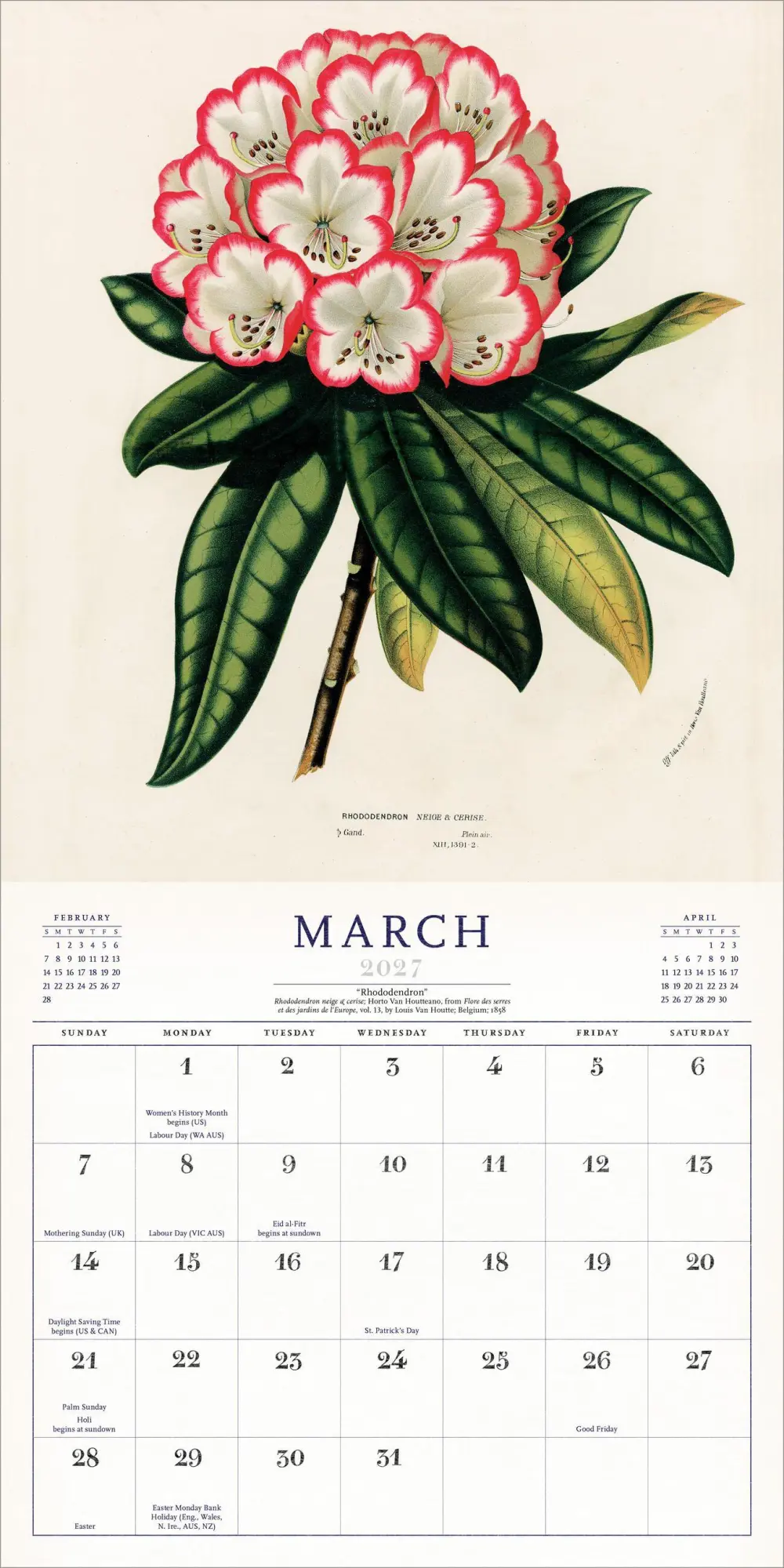 Bild: 9781523534531 | The World of John Derian Wall Calendar 2027 | John Derian (u. a.)