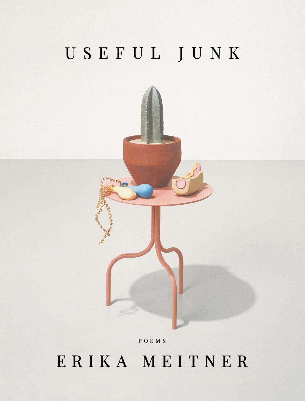 Cover: 9781950774531 | Useful Junk | Erika Meitner | Taschenbuch | Kartoniert / Broschiert