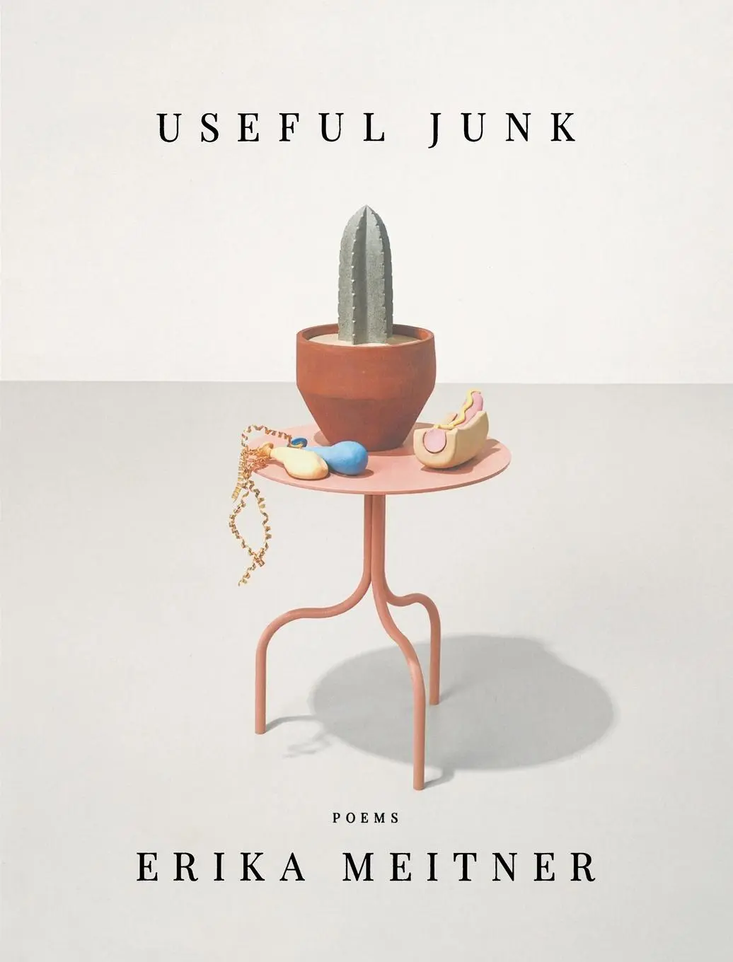 Cover: 9781950774531 | Useful Junk | Erika Meitner | Taschenbuch | Kartoniert / Broschiert