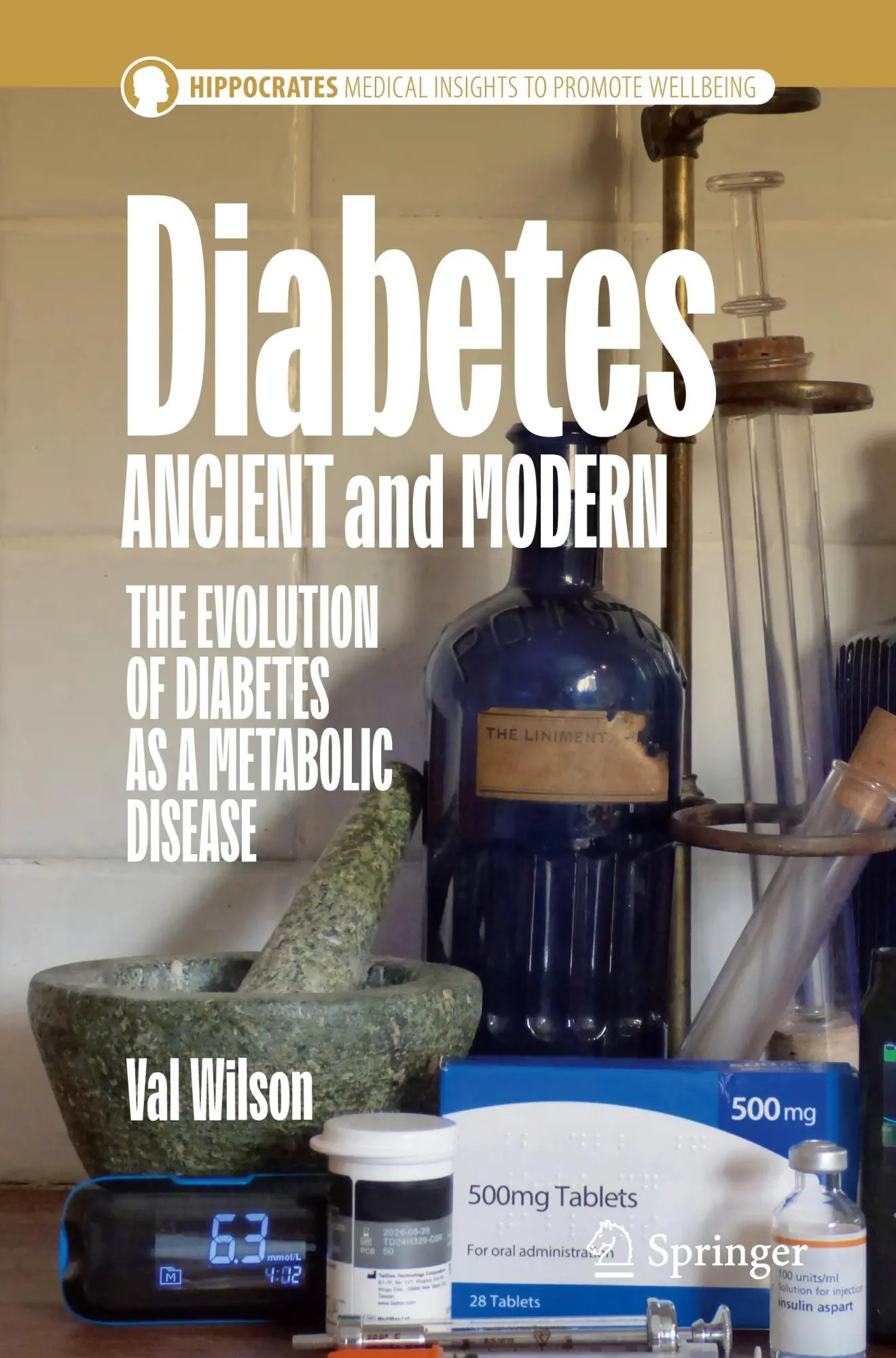 Cover: 9783032124531 | Diabetes Ancient and Modern | Val Wilson | Taschenbuch | Hippocrates