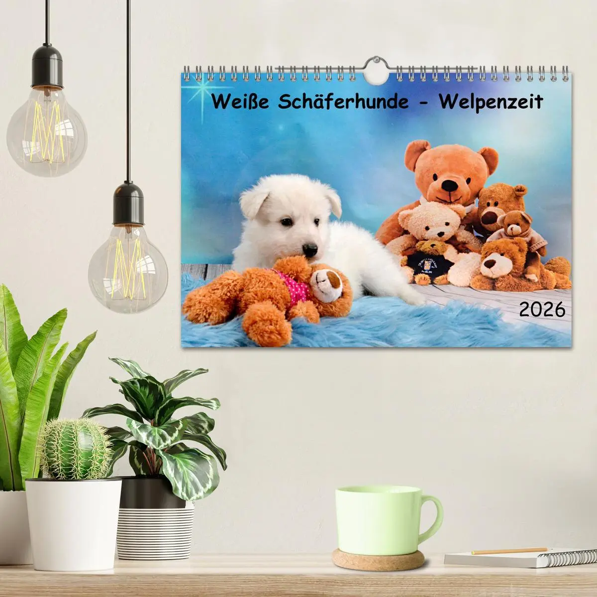 Bild: 9783457624531 | Weiße Schäferhunde - Welpenzeit (Wandkalender 2026 DIN A4 quer),...