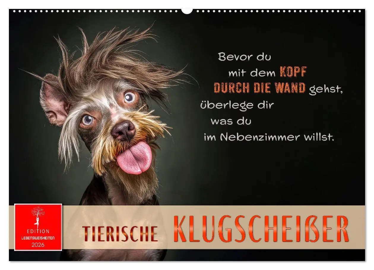 Cover: 9783457304631 | Tierische Klugscheißer (Wandkalender 2026 DIN A2 quer), CALVENDO...