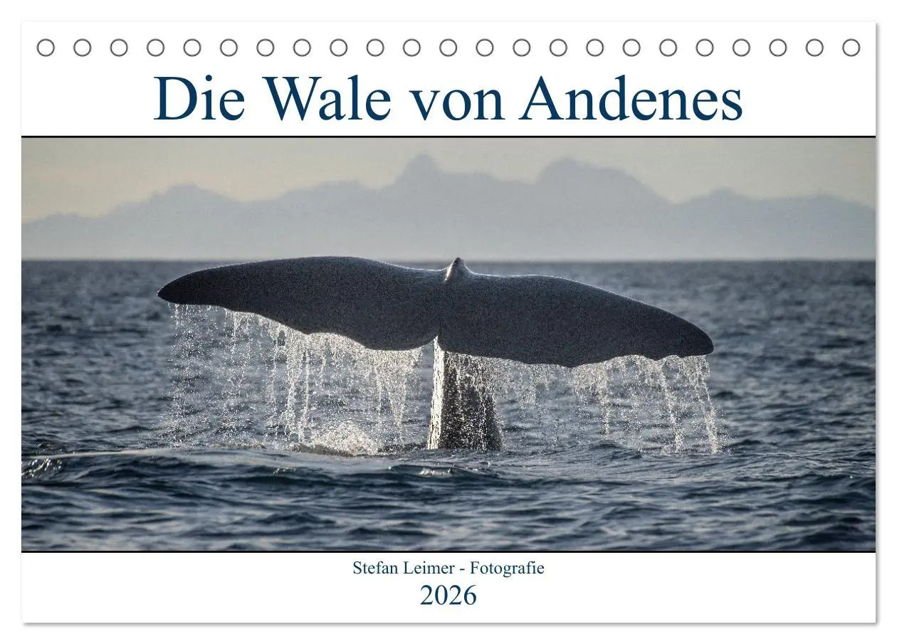 Cover: 9783457614631 | Die Wale von Andenes (Tischkalender 2026 DIN A5 quer), CALVENDO...