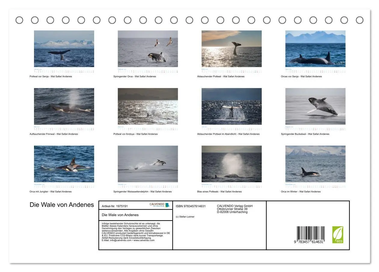Bild: 9783457614631 | Die Wale von Andenes (Tischkalender 2026 DIN A5 quer), CALVENDO...