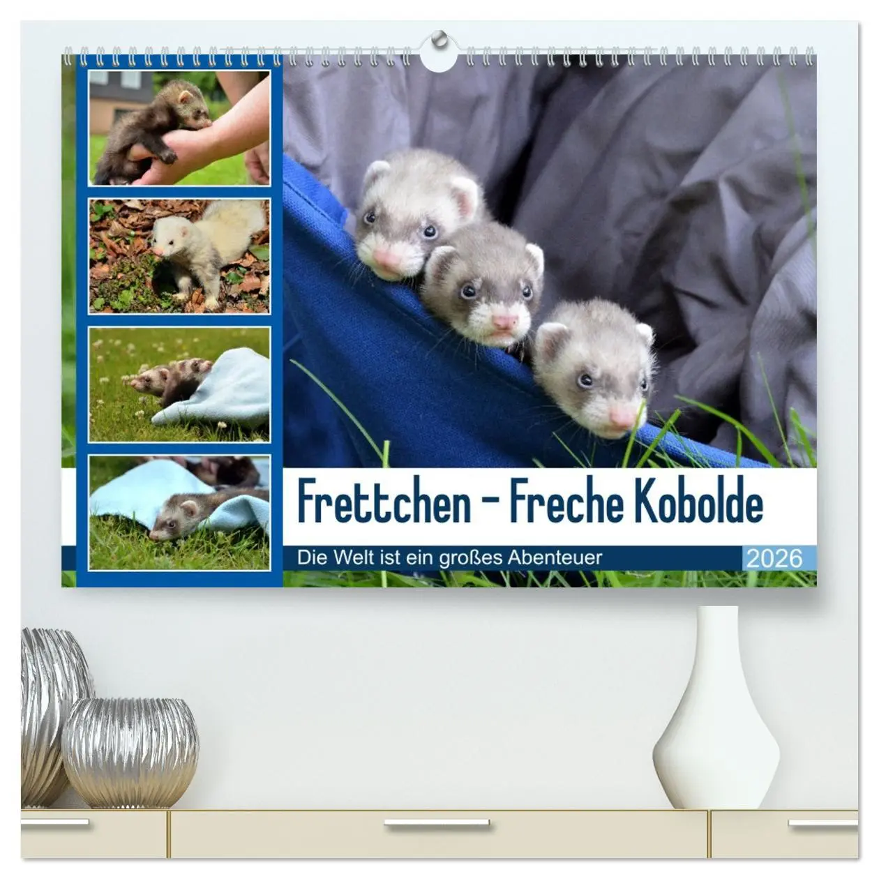 Cover: 9783516634631 | Frettchen - Freche Kobolde (hochwertiger Premium Wandkalender 2026...