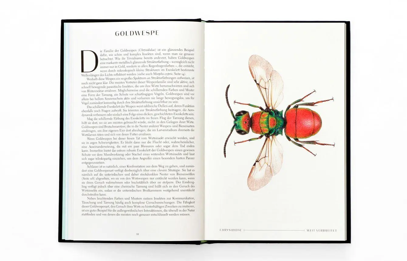 Bild: 9783962444631 | Wunderwelt der Insekten | Ross Piper | Buch | 192 S. | Deutsch | 2025