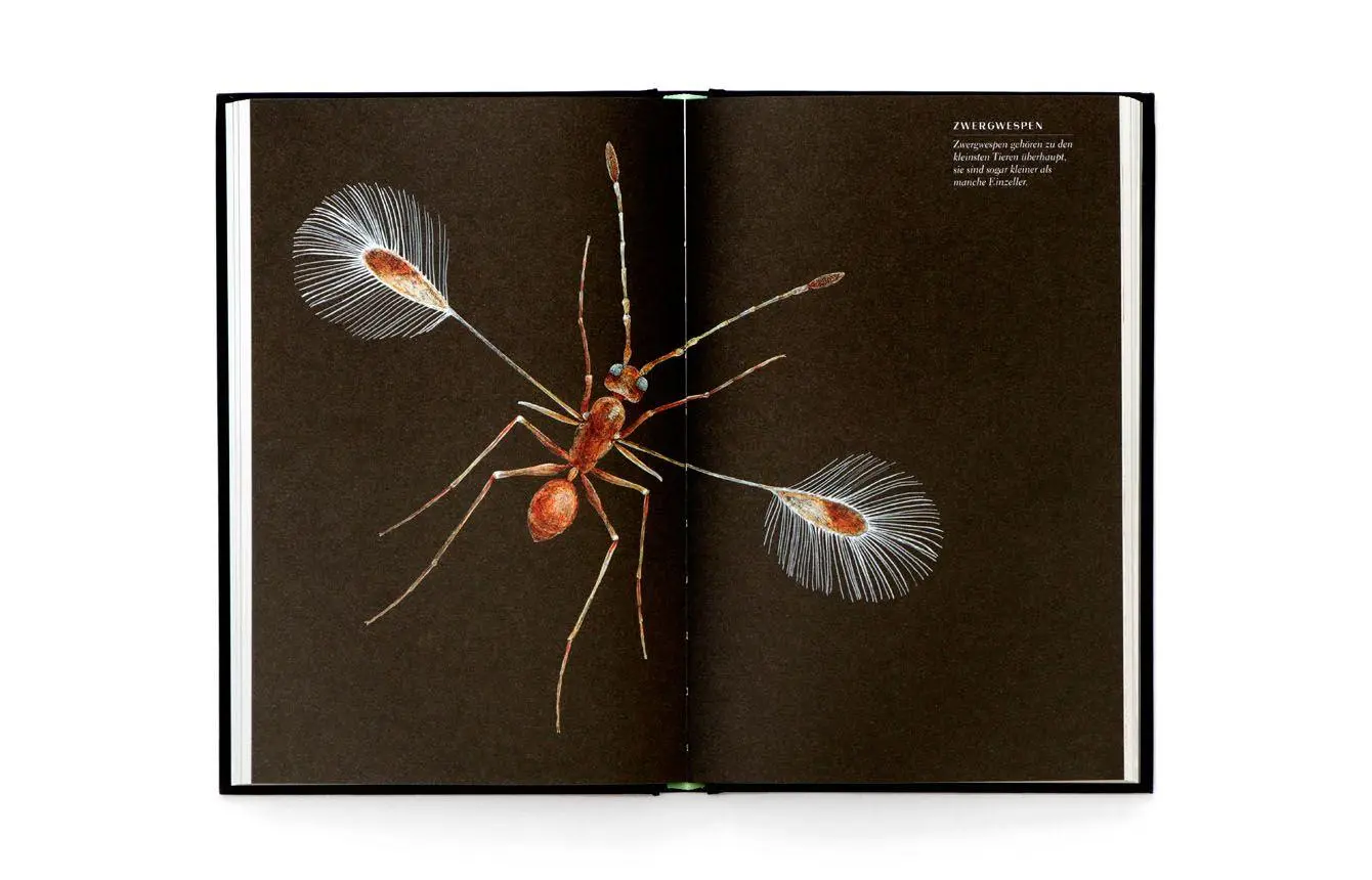 Bild: 9783962444631 | Wunderwelt der Insekten | Ross Piper | Buch | 192 S. | Deutsch | 2025