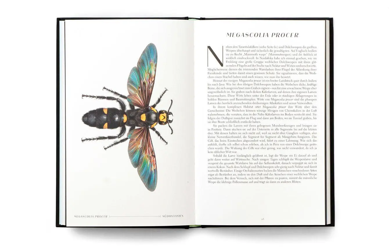 Bild: 9783962444631 | Wunderwelt der Insekten | Ross Piper | Buch | 192 S. | Deutsch | 2025