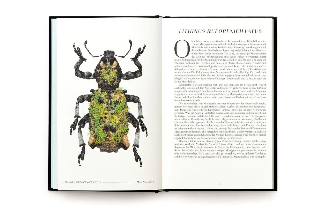 Bild: 9783962444631 | Wunderwelt der Insekten | Ross Piper | Buch | 192 S. | Deutsch | 2025