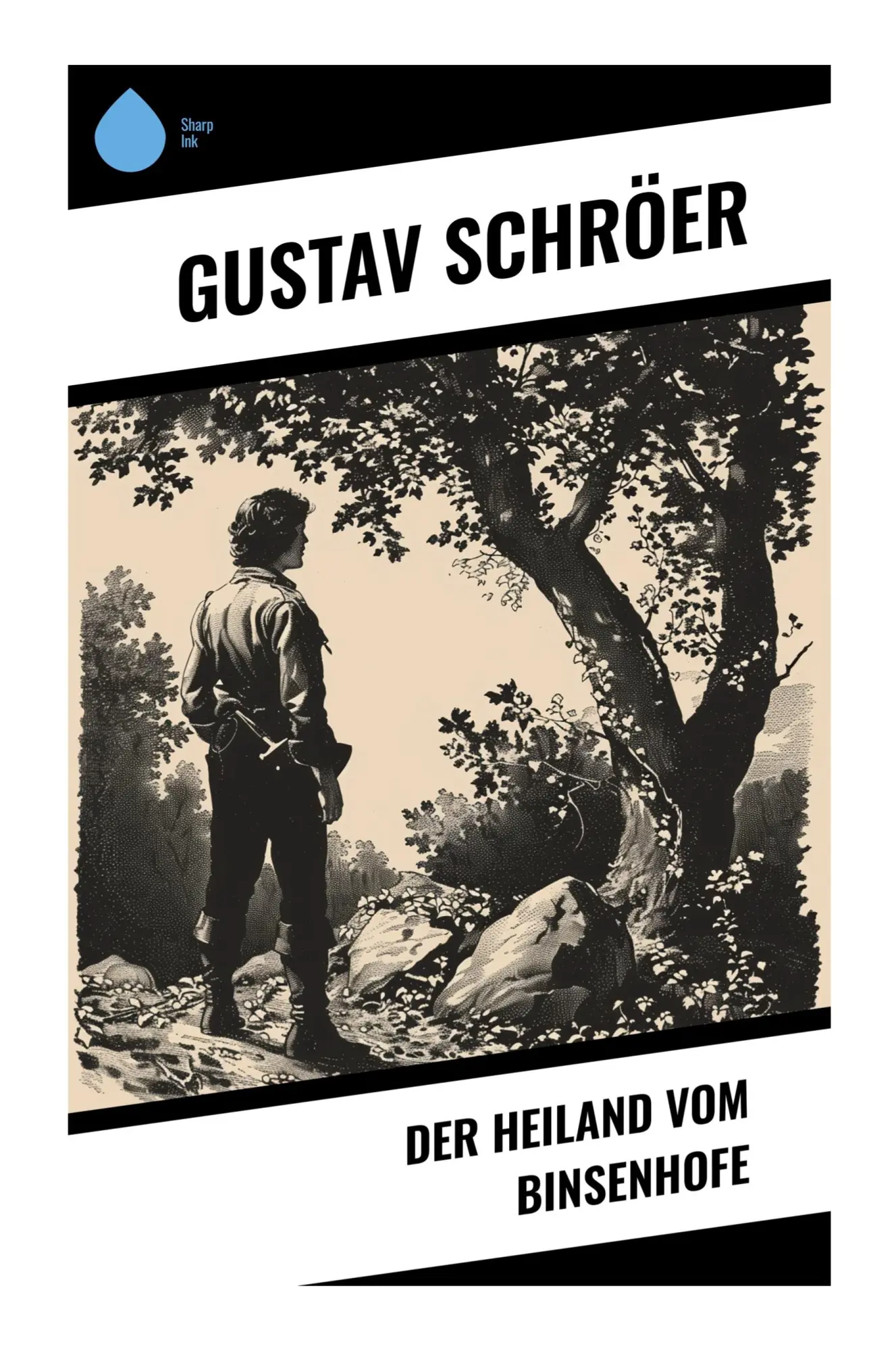 Cover: 9788028374631 | Der Heiland vom Binsenhofe | Gustav Schröer | Taschenbuch | 184 S.