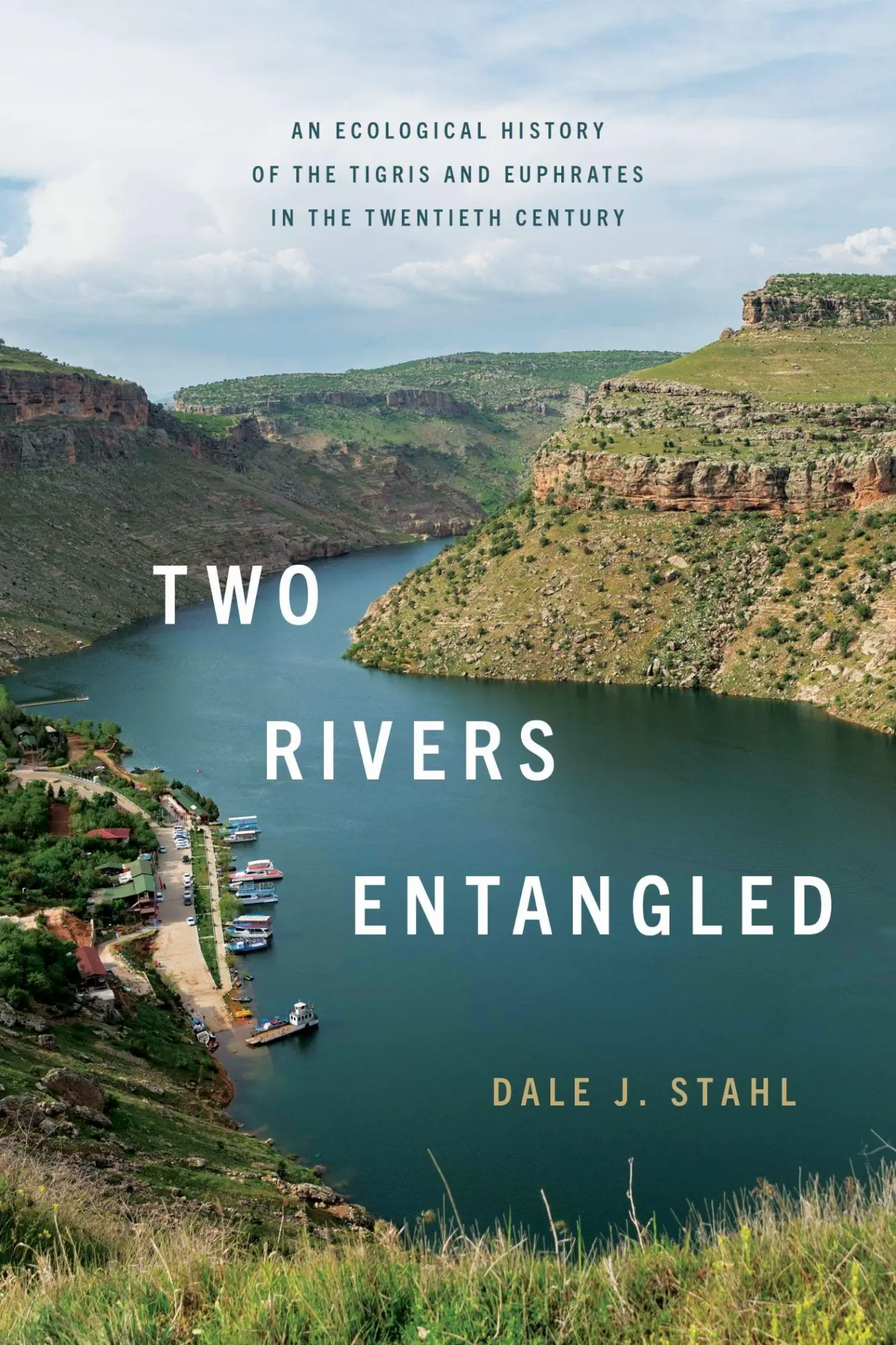 Cover: 9781503644731 | Two Rivers Entangled | Dale J. Stahl | Taschenbuch | Englisch | 2026