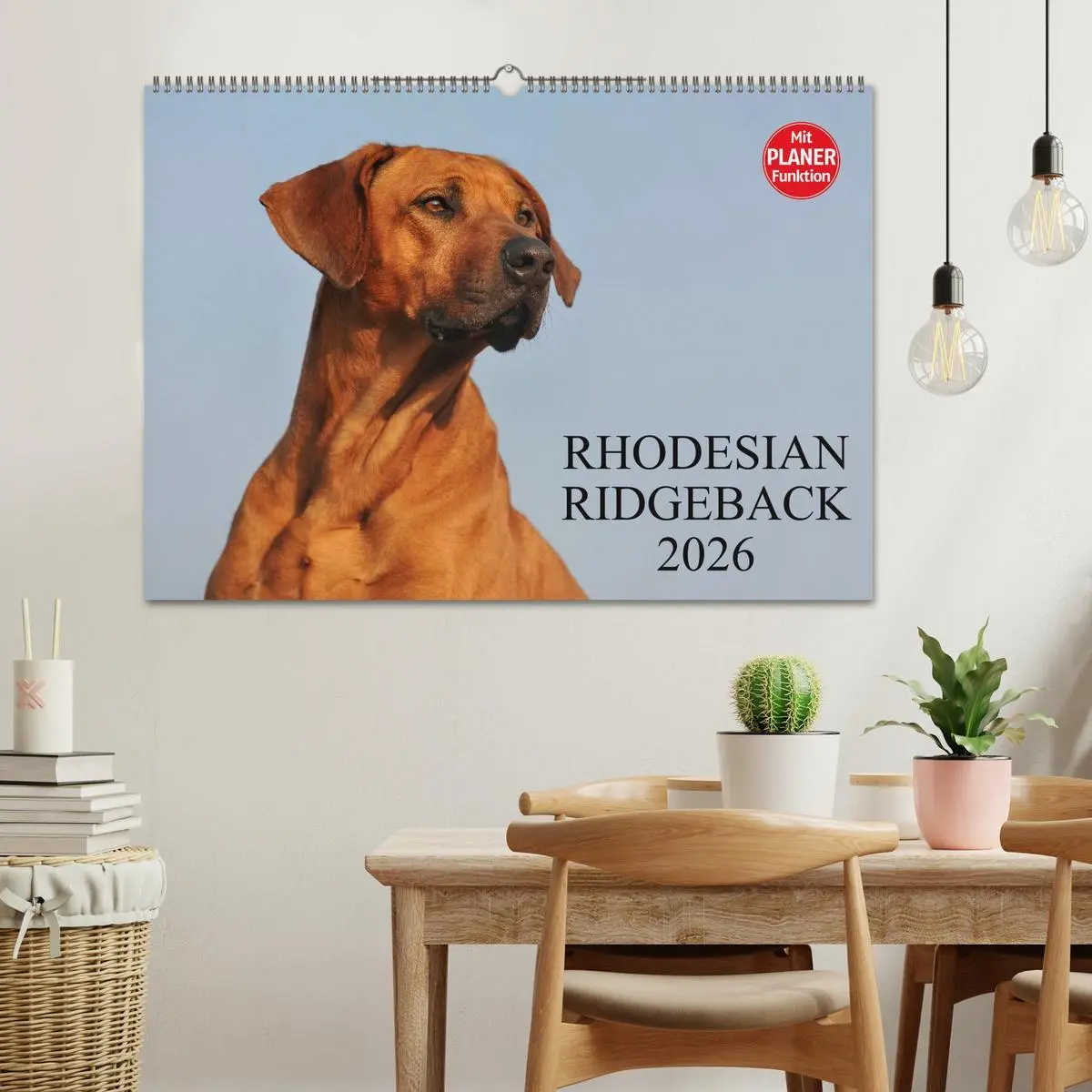 Bild: 9783516004731 | Rhodesian Ridgeback 2026 (Wandkalender 2026 DIN A2 quer), CALVENDO...