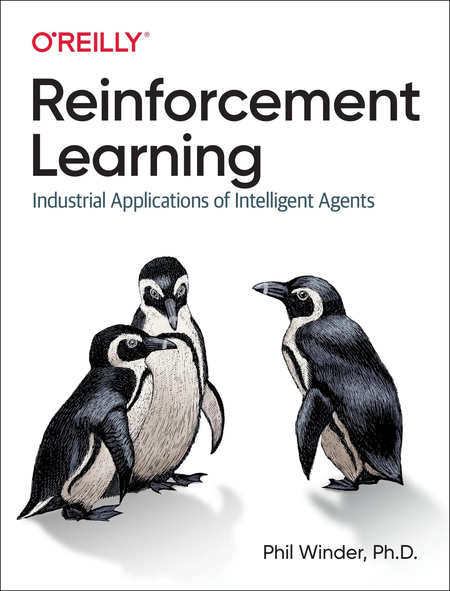 O'Reilly Media Reinforcement Learning