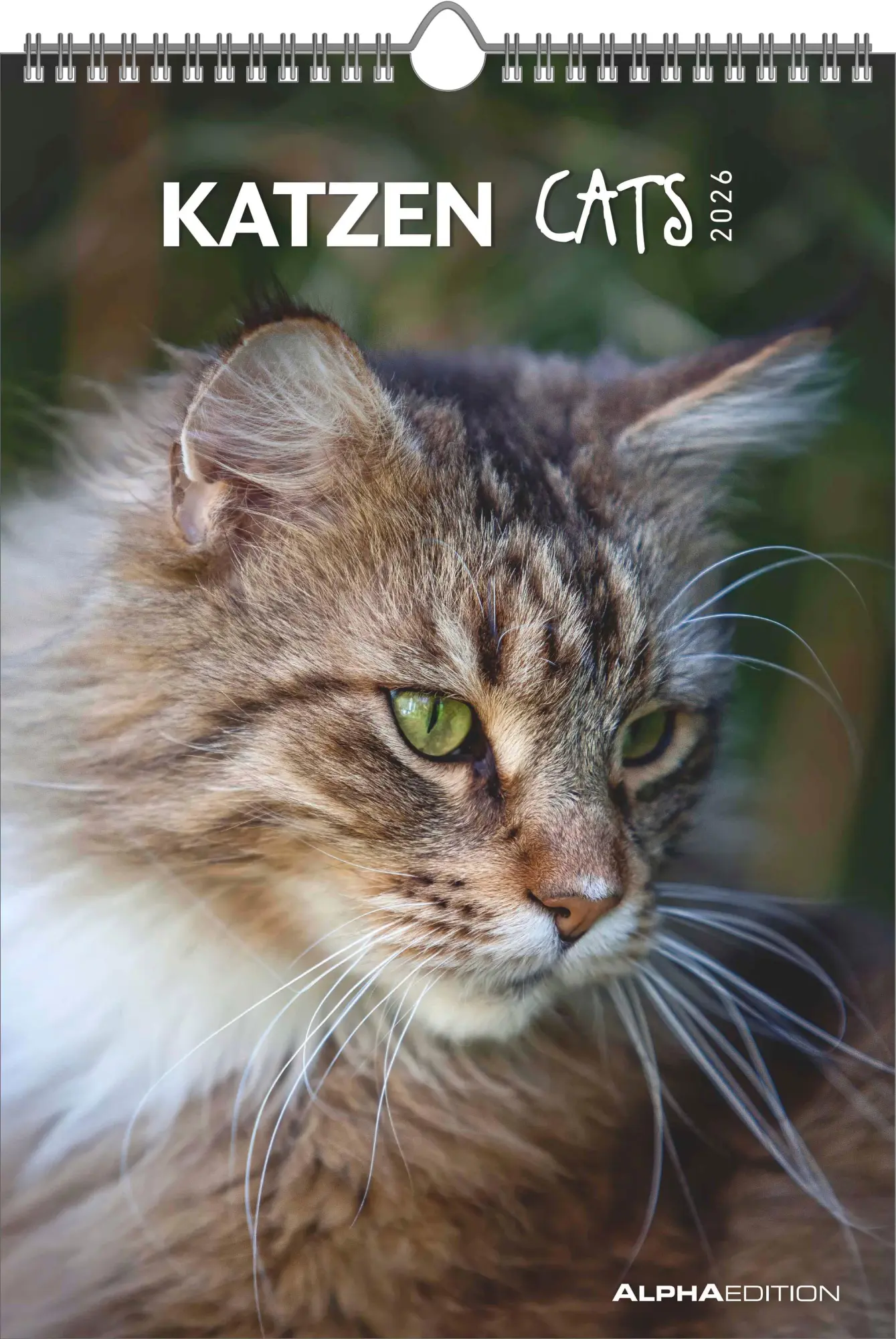 Cover: 4069095004931 | Katzen 2026 - Bildkalender 23,7x34 cm - Kalender mit Platz für...