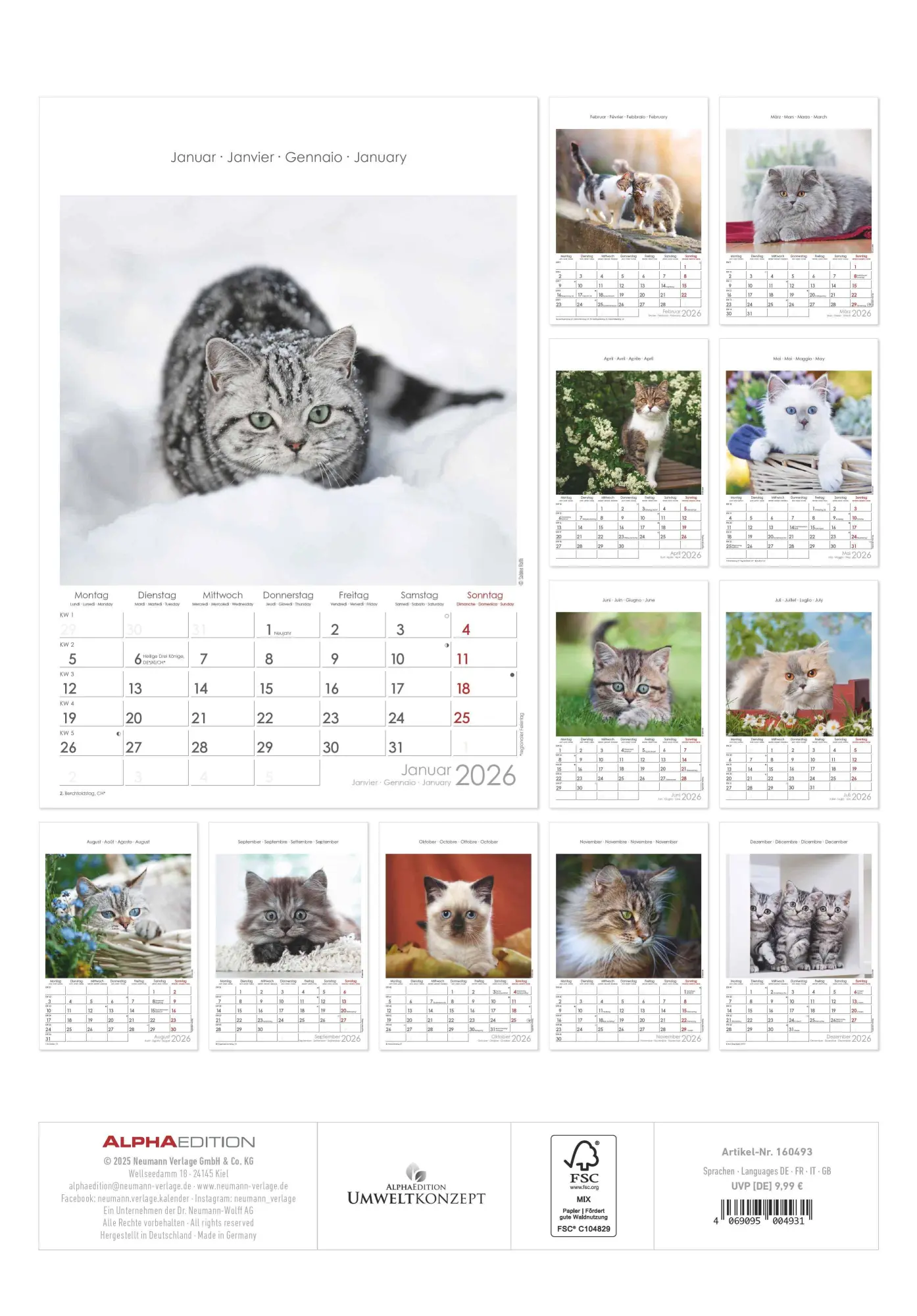 Rückseite: 4069095004931 | Katzen 2026 - Bildkalender 23,7x34 cm - Kalender mit Platz für...