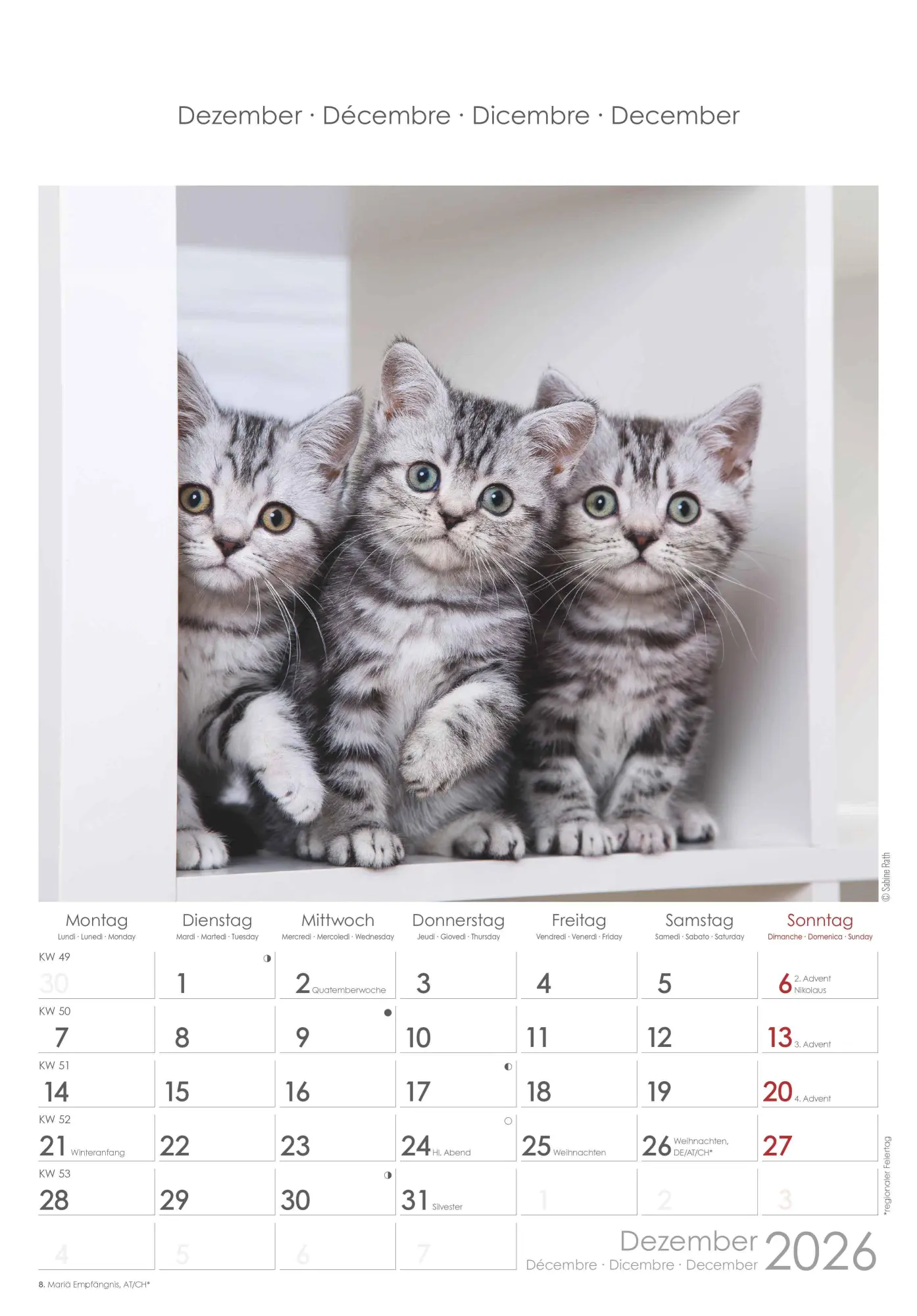 Bild: 4069095004931 | Katzen 2026 - Bildkalender 23,7x34 cm - Kalender mit Platz für...
