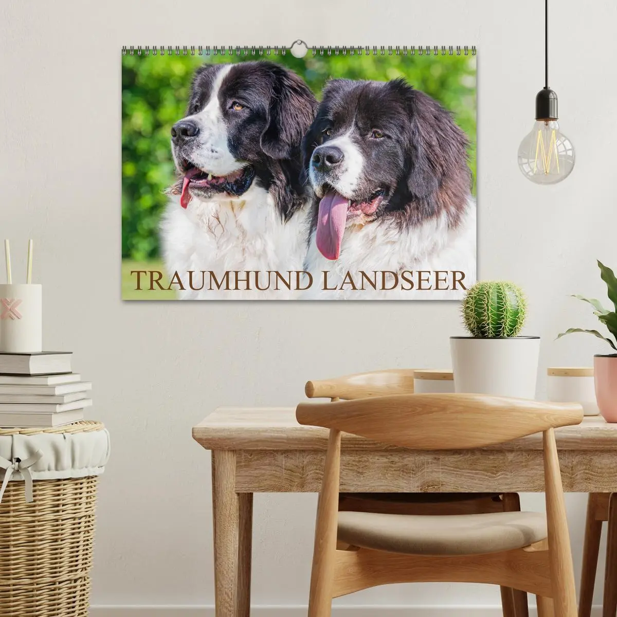 Bild: 9783457514931 | Traumhund Landseer (Wandkalender 2026 DIN A3 quer), CALVENDO...