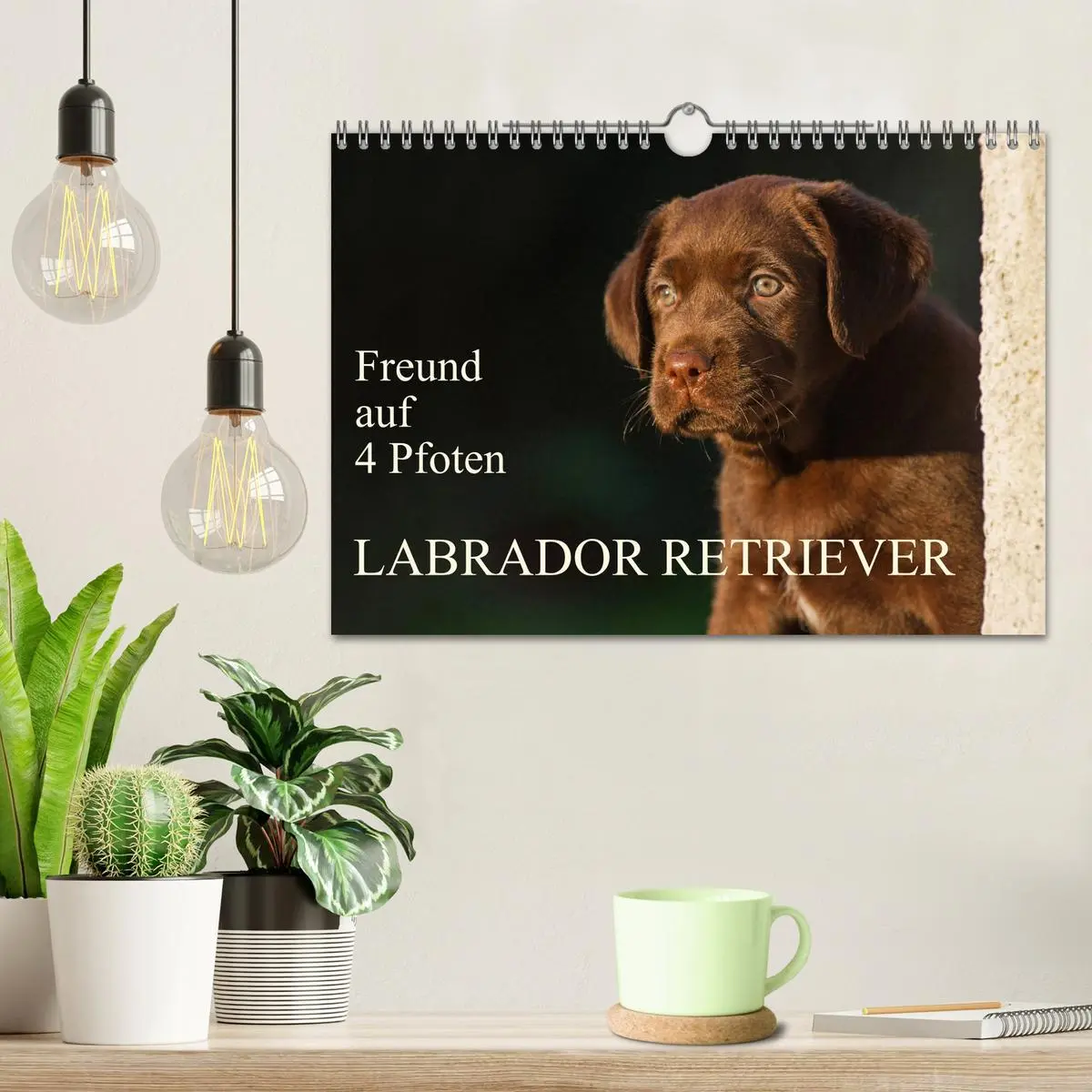 Bild: 9783457824931 | Freund auf 4 Pfoten - Labrador Retriever (Wandkalender 2026 DIN A4...