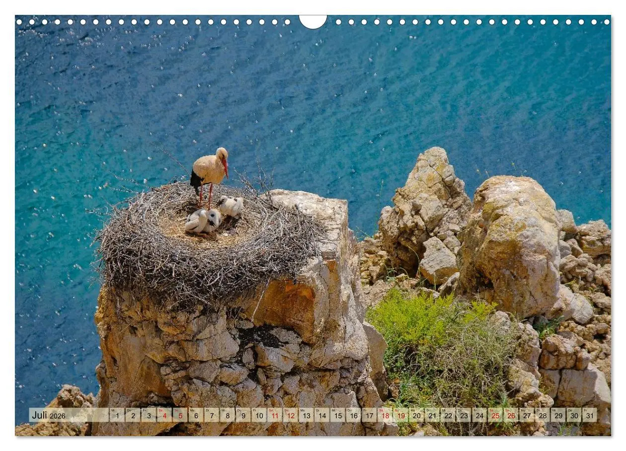Bild: 9783516604931 | Fischerweg Portugal (Wandkalender 2026 DIN A3 quer), CALVENDO...